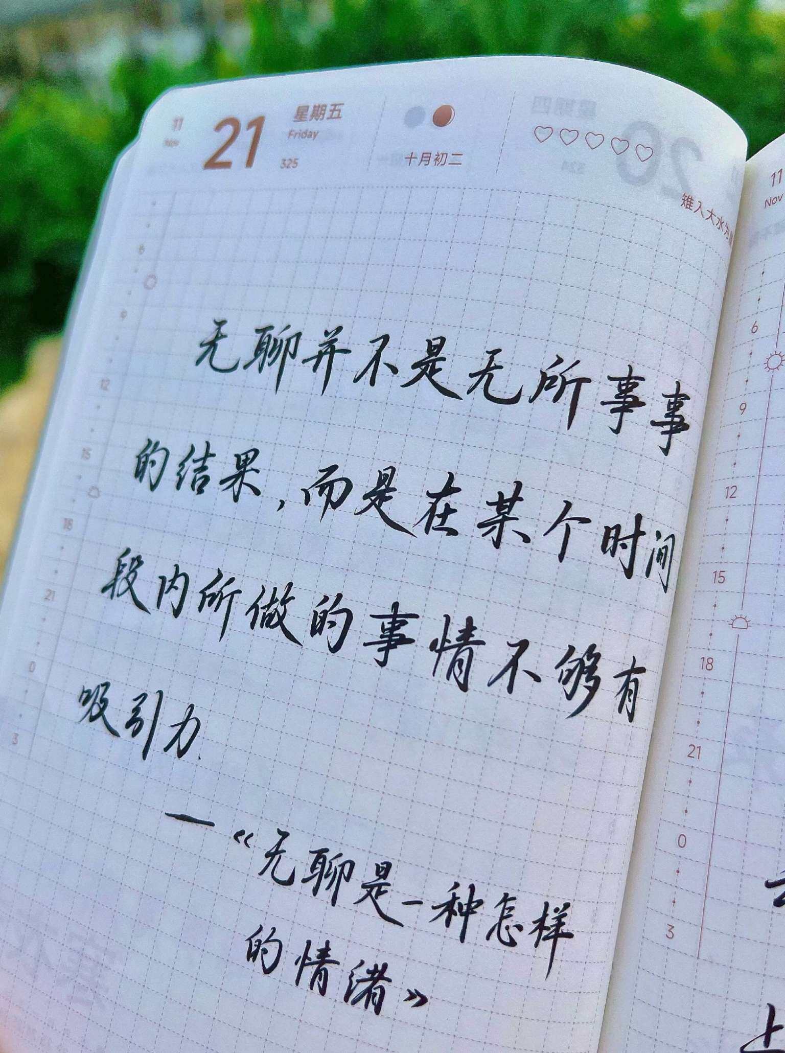 自在手帐2025年11月21日