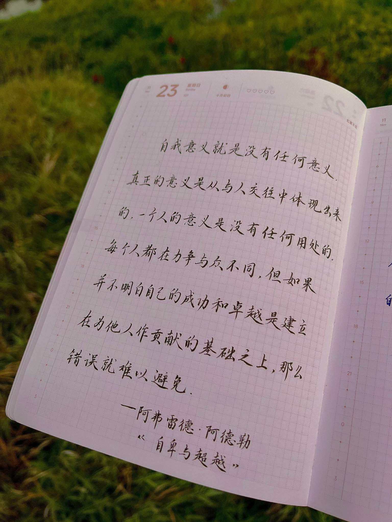 自在手帐2025年11月23日