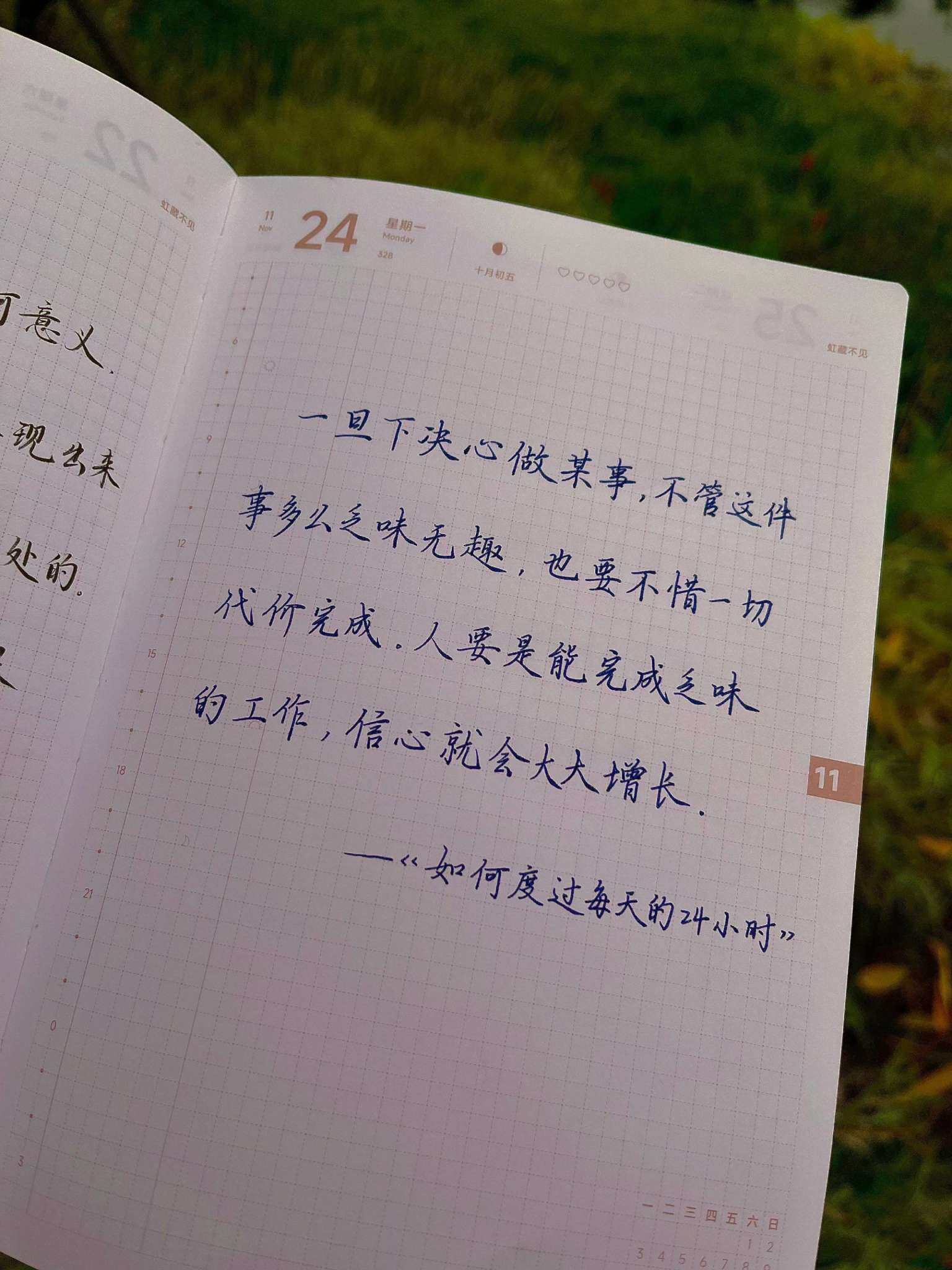 自在手帐2025年11月24日