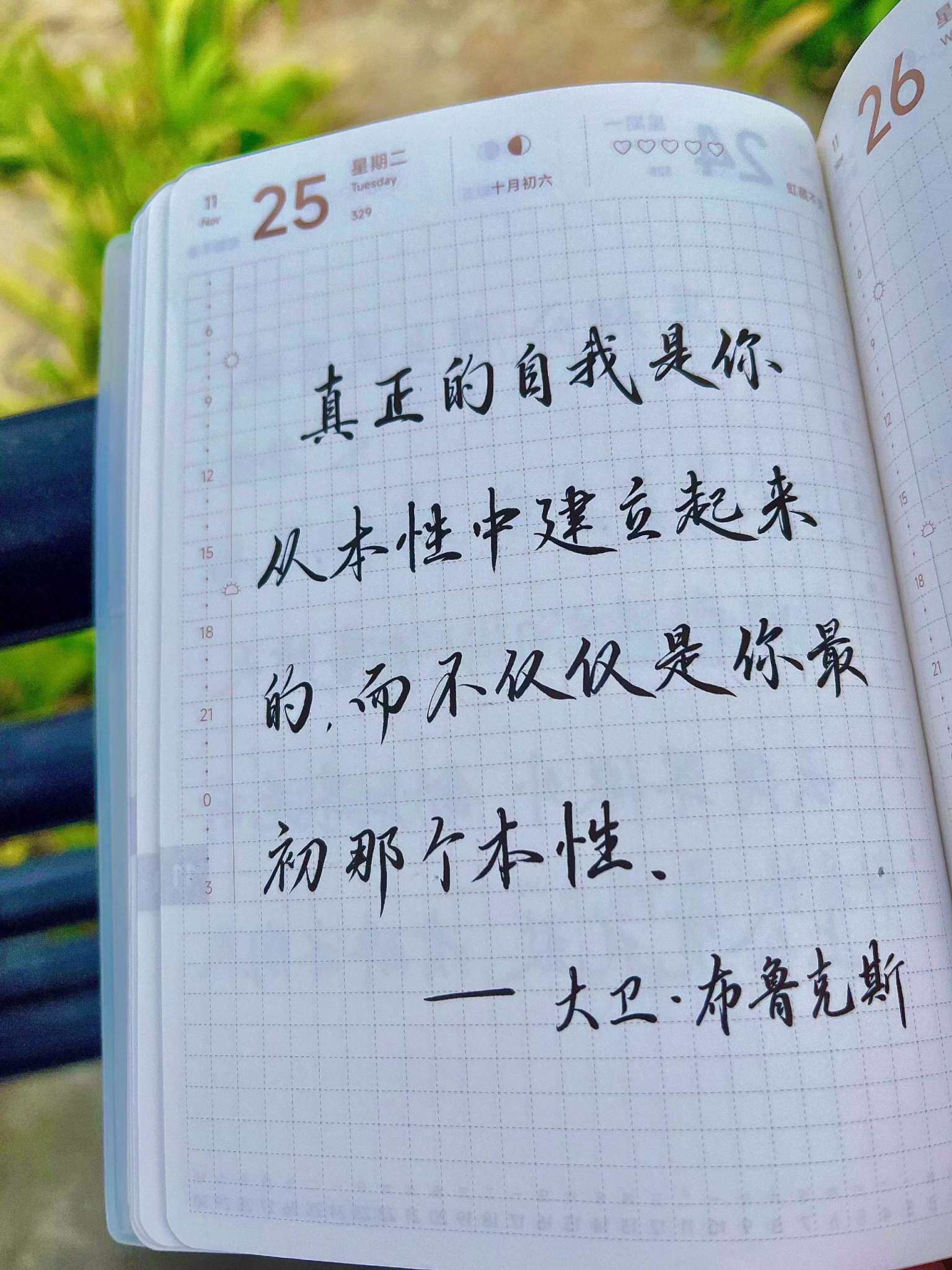 自在手帐2025年11月25日