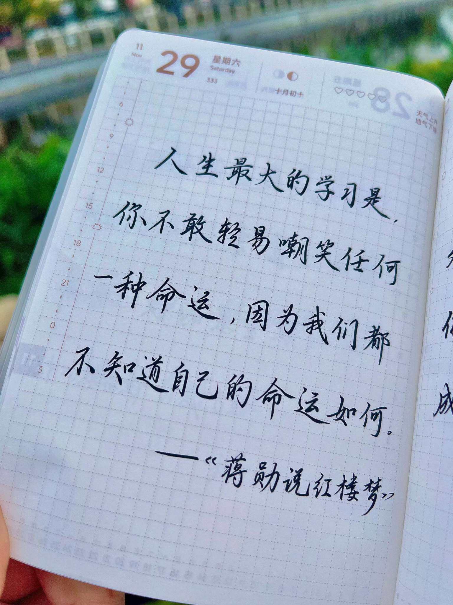 自在手帐2025年11月29日