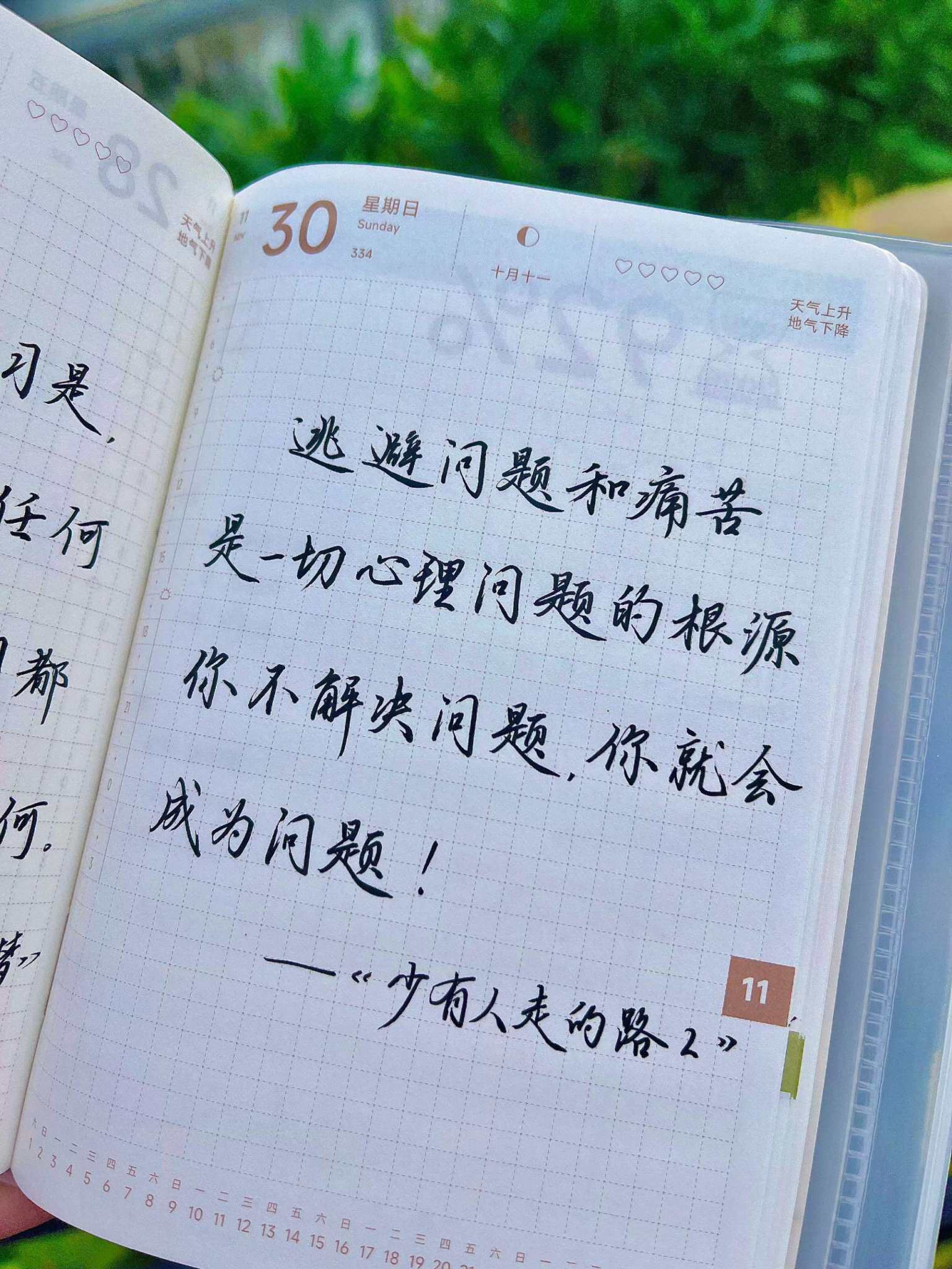 自在手帐2025年11月30日