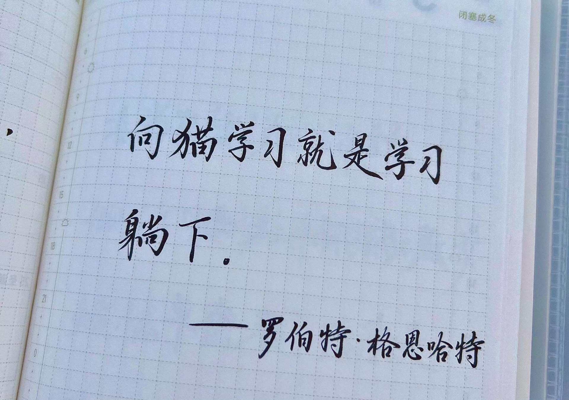 躺下才是顶级自律