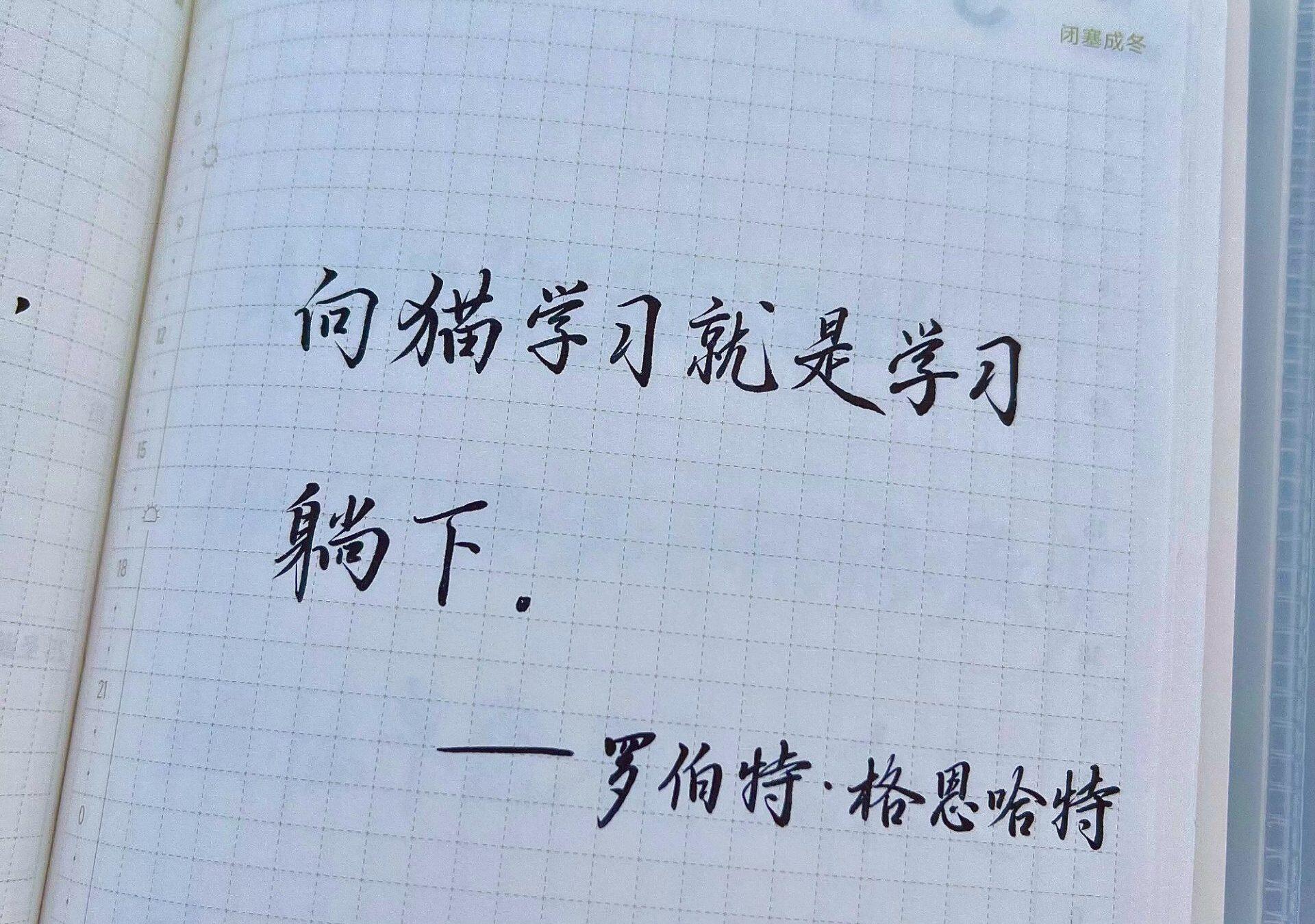 躺下才是顶级自律