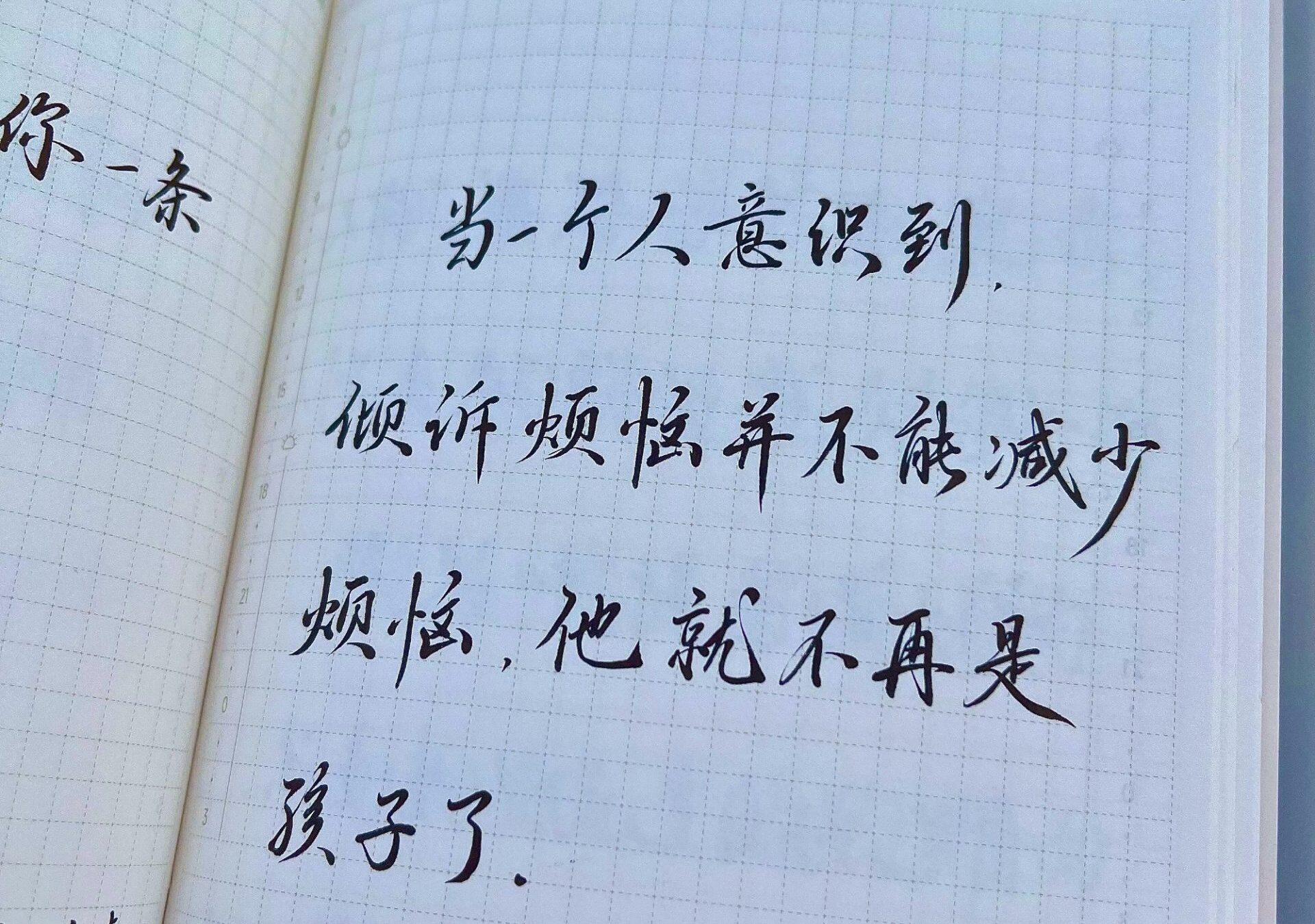 成年人的烦恼是哑巴游戏