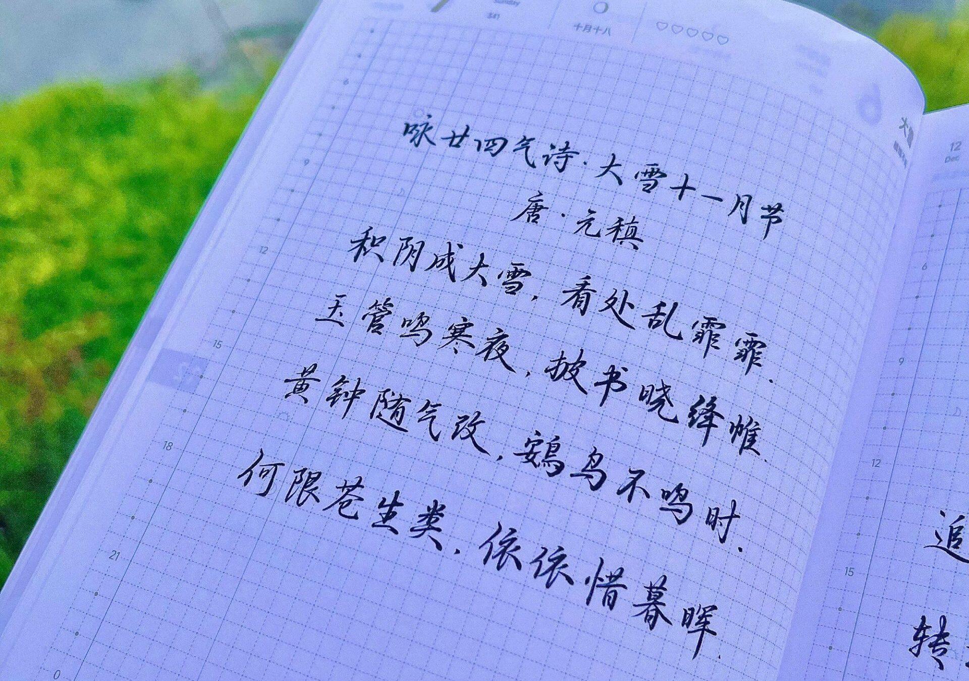 大雪|二十四节气|乙巳年