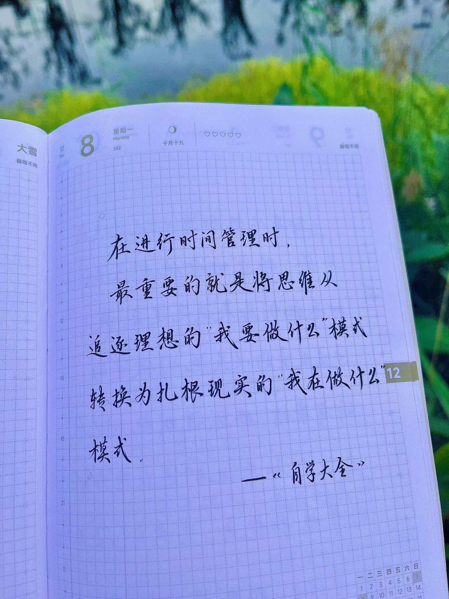 自在手帐2025年12月8日