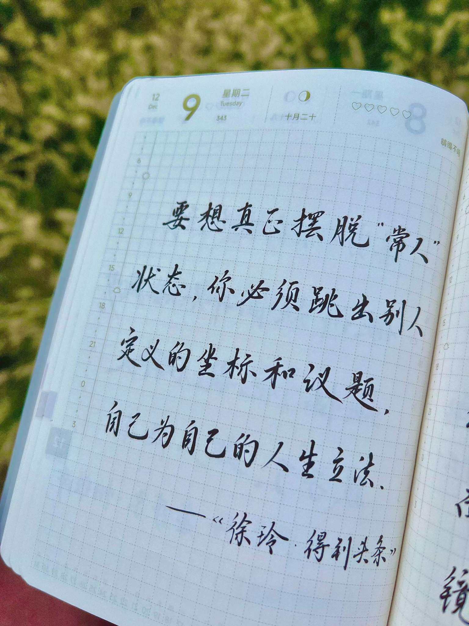 自在手帐2025年12月9日