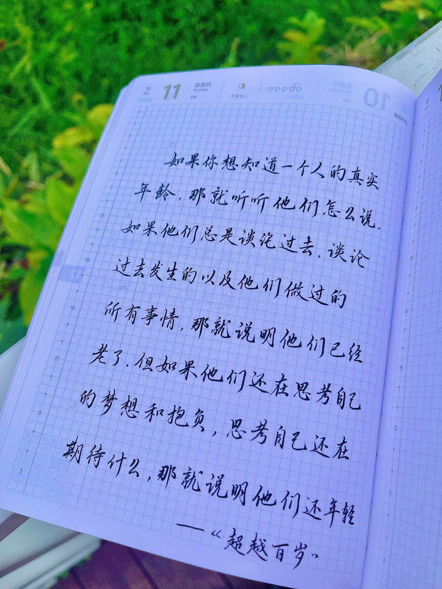 自在手帐2025年12月11日