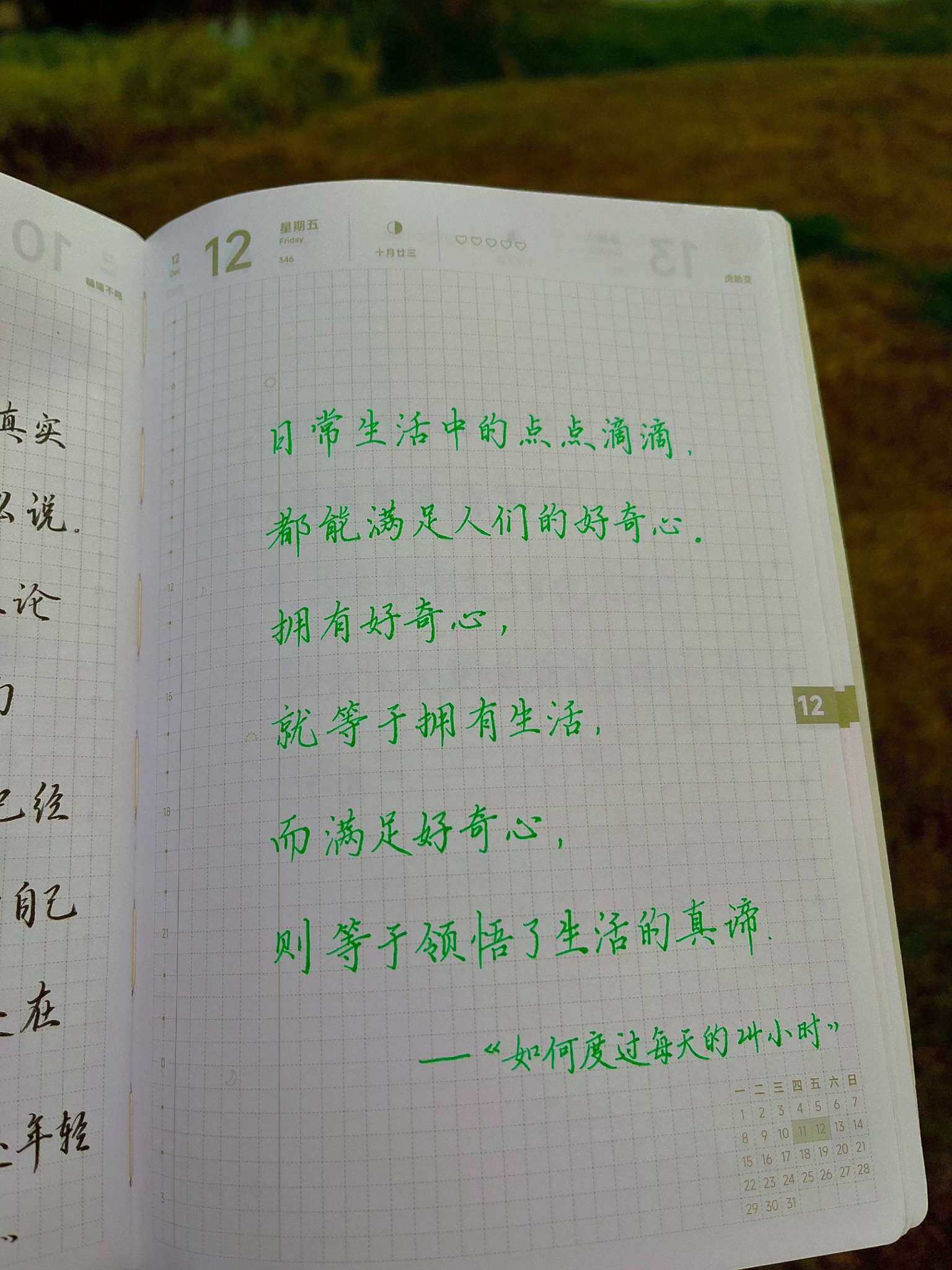 自在手帐2025年12月12日