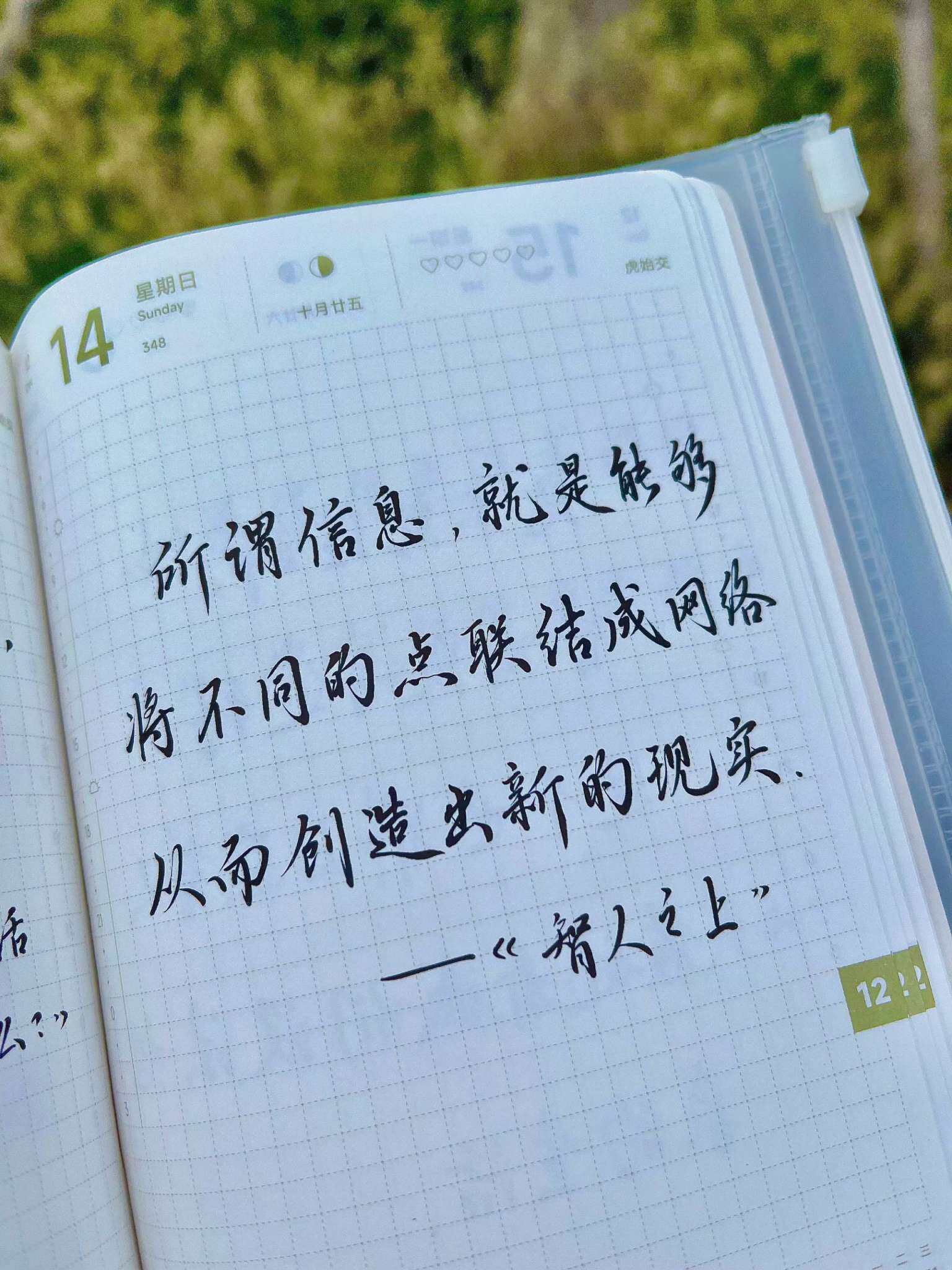 自在手帐2025年12月14日