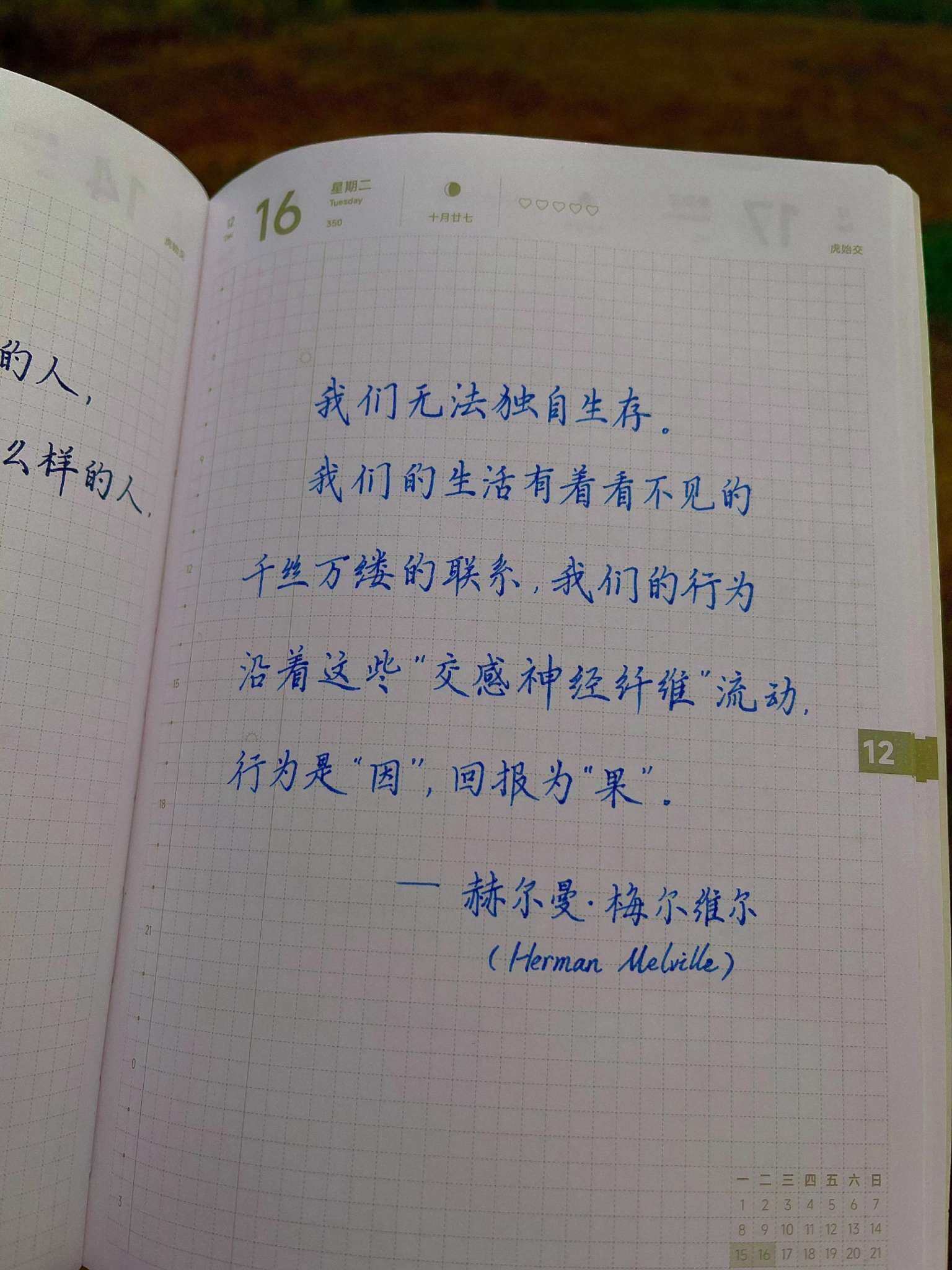 自在手帐2025年12月16日