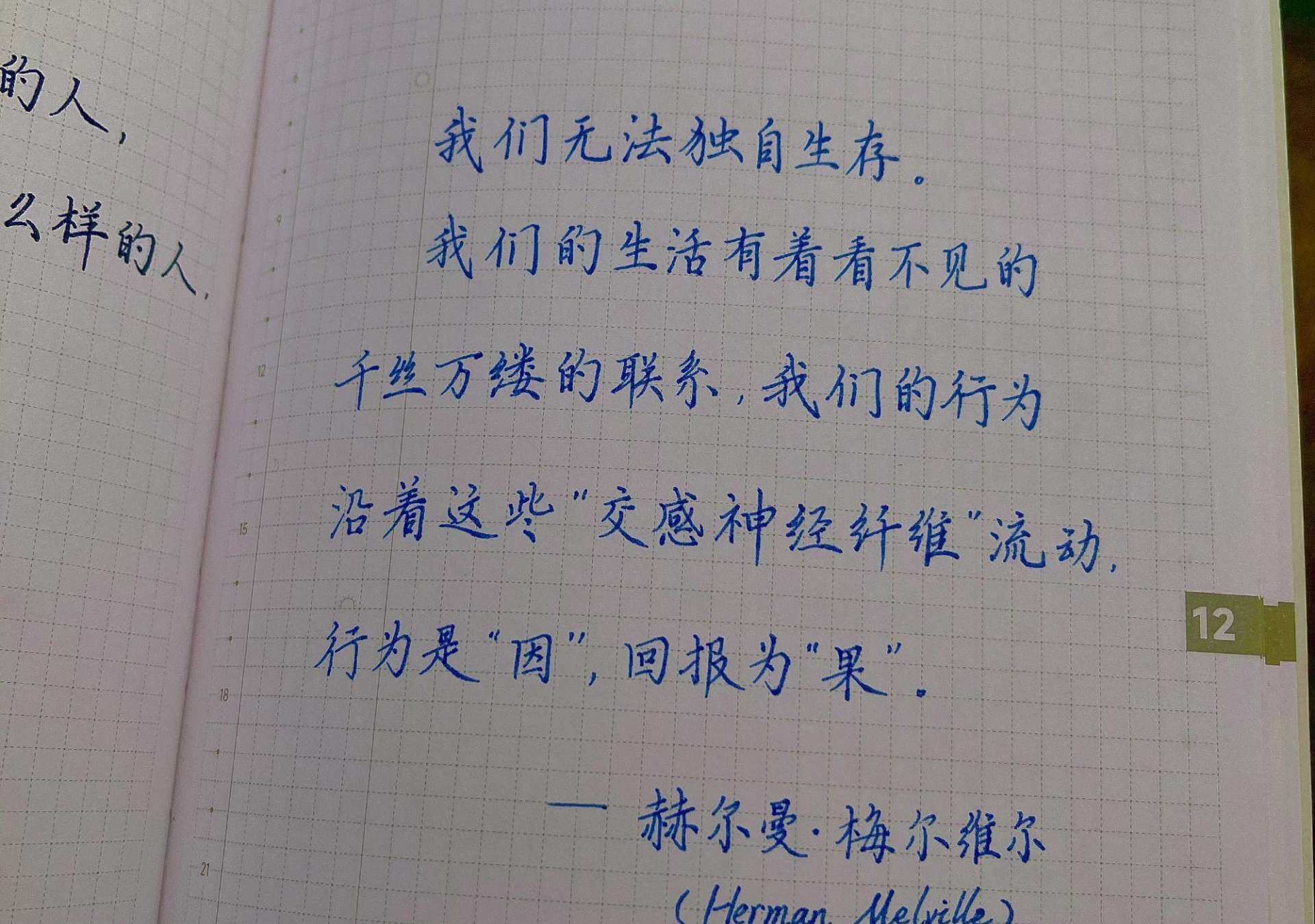 自在手帐2025年12月16日