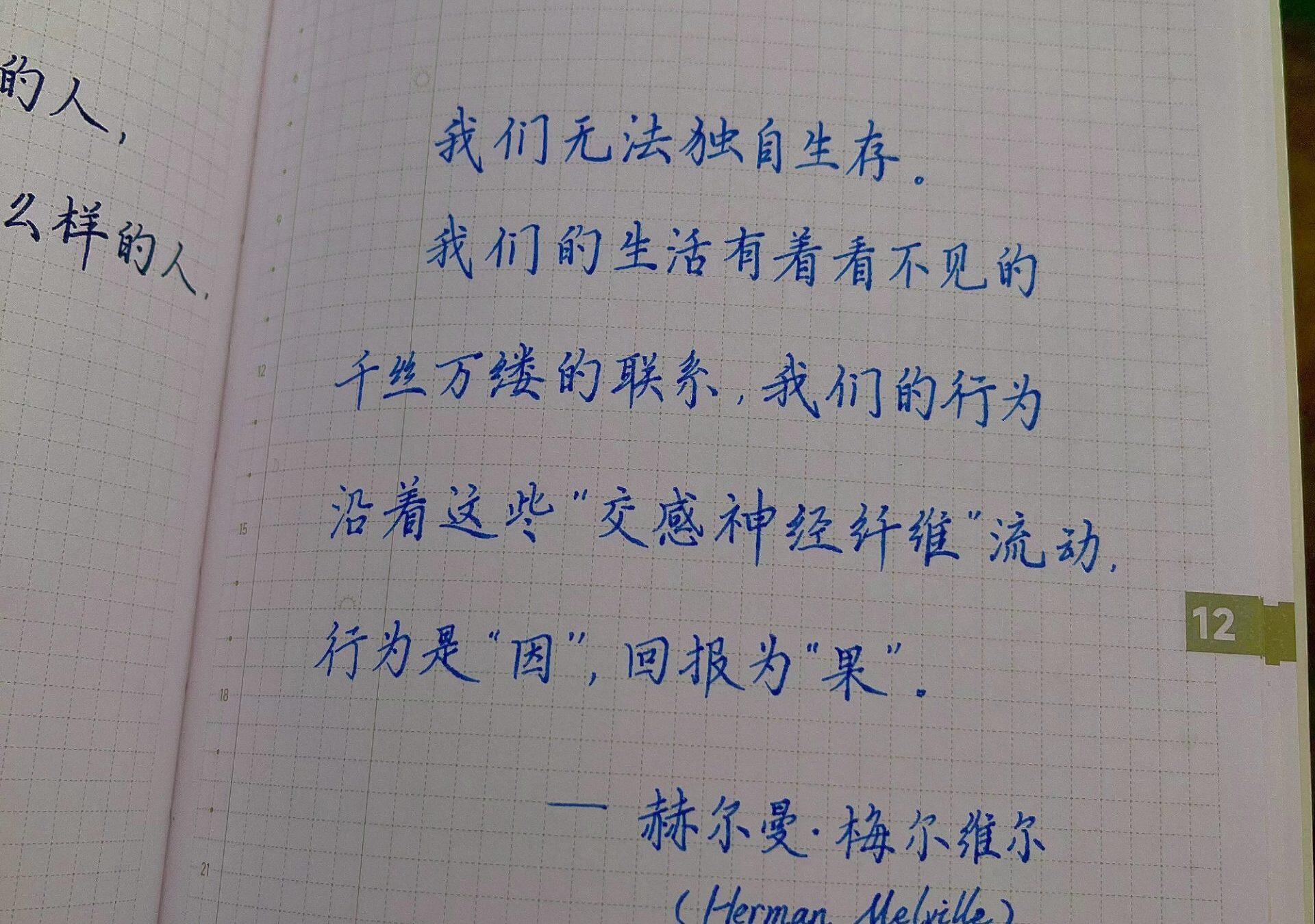 每个人都是命运网络的编织者