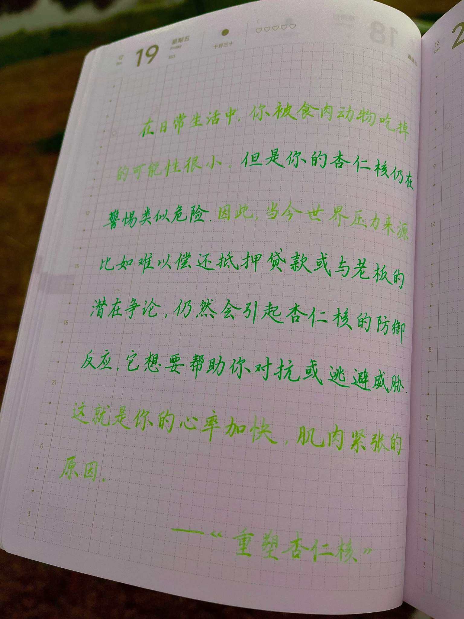 自在手帐2025年12月19日