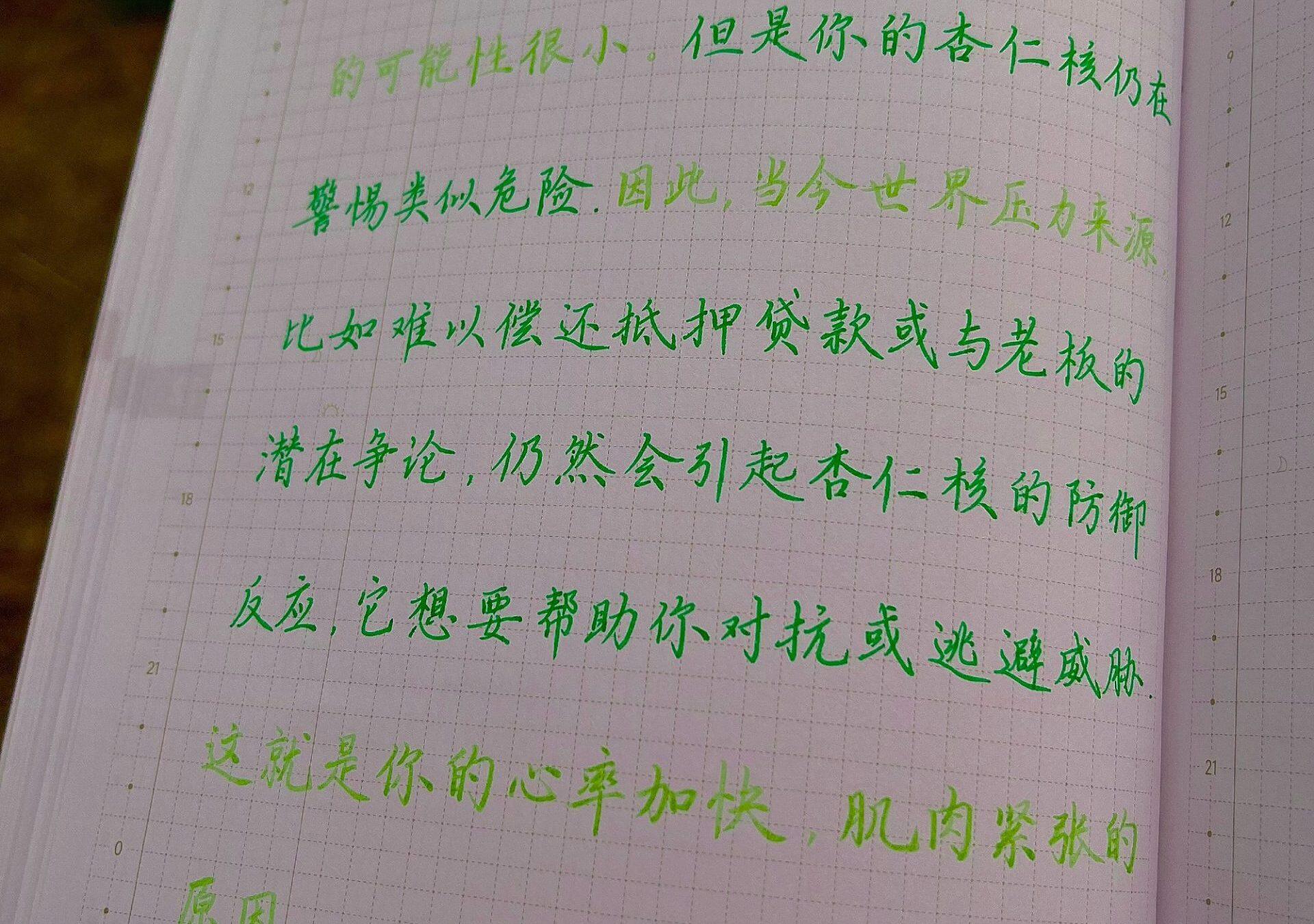 杏仁核的保护机制