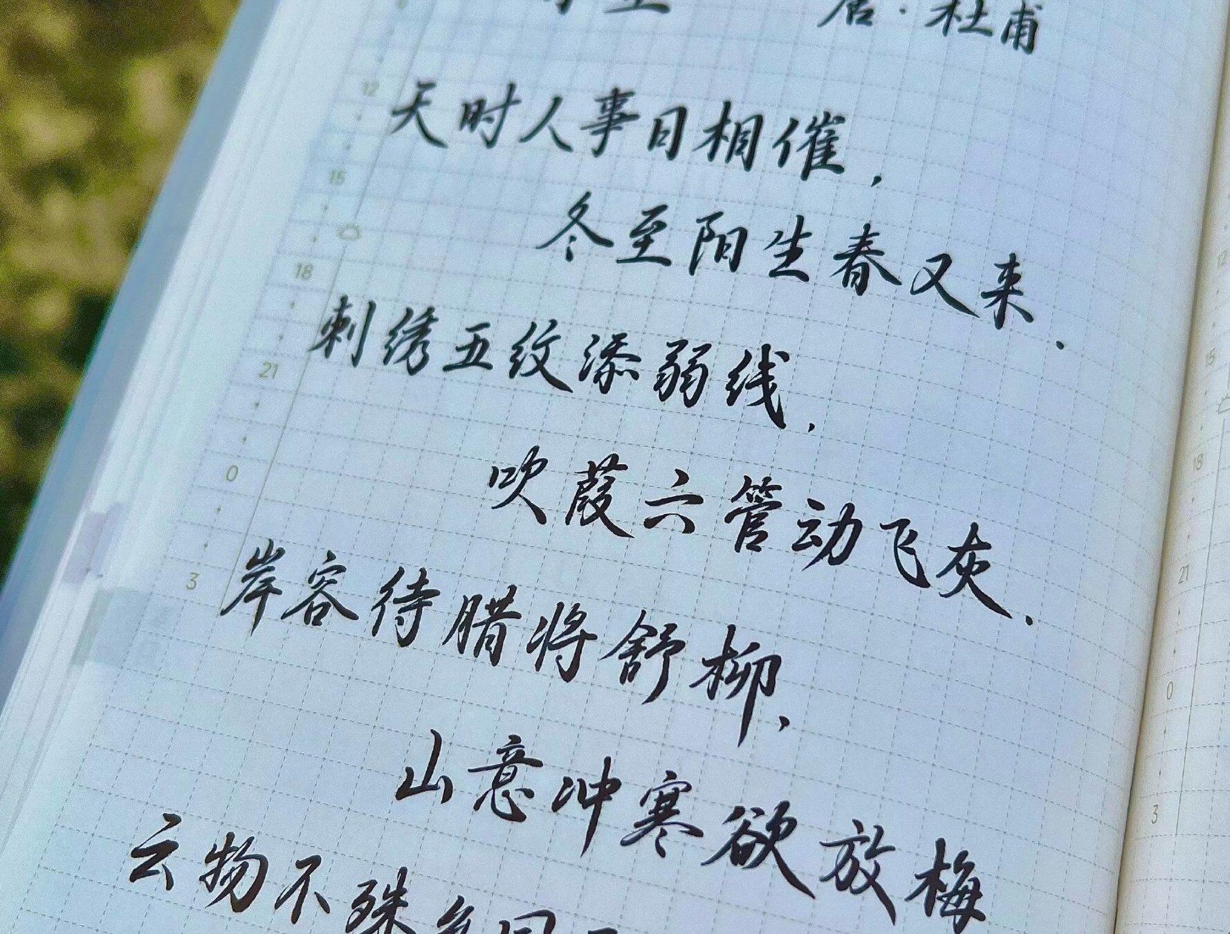 冬至|二十四节气|乙巳年