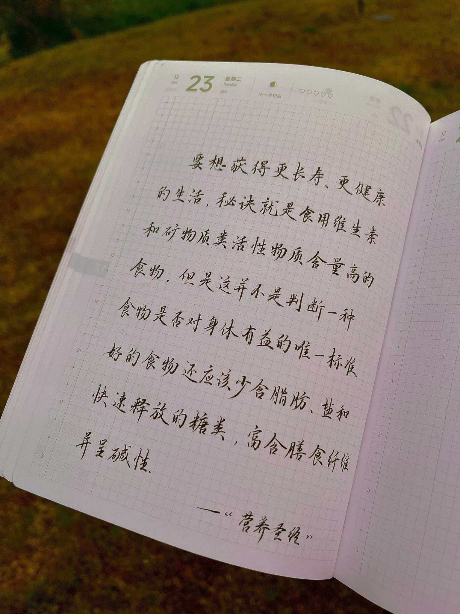 自在手帐2025年12月23日