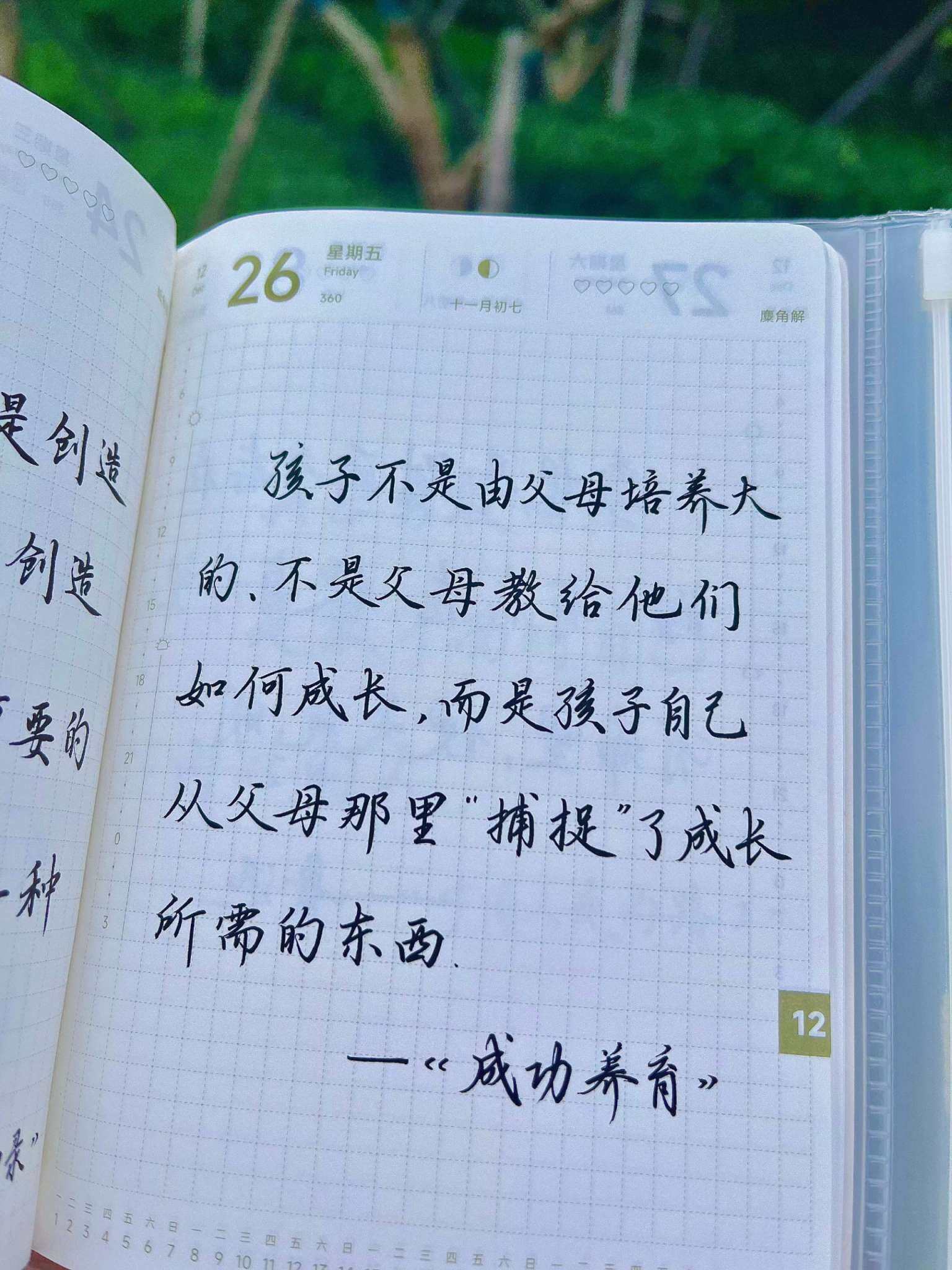 自在手帐2025年12月26日