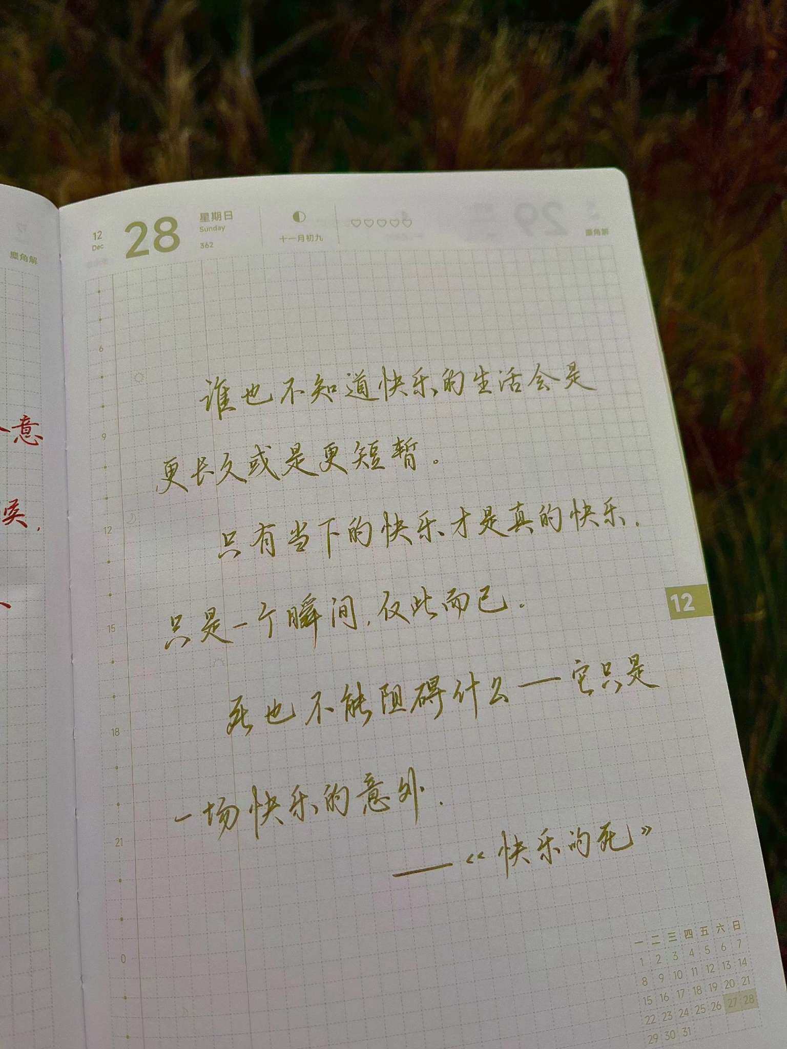 自在手帐2025年12月28日