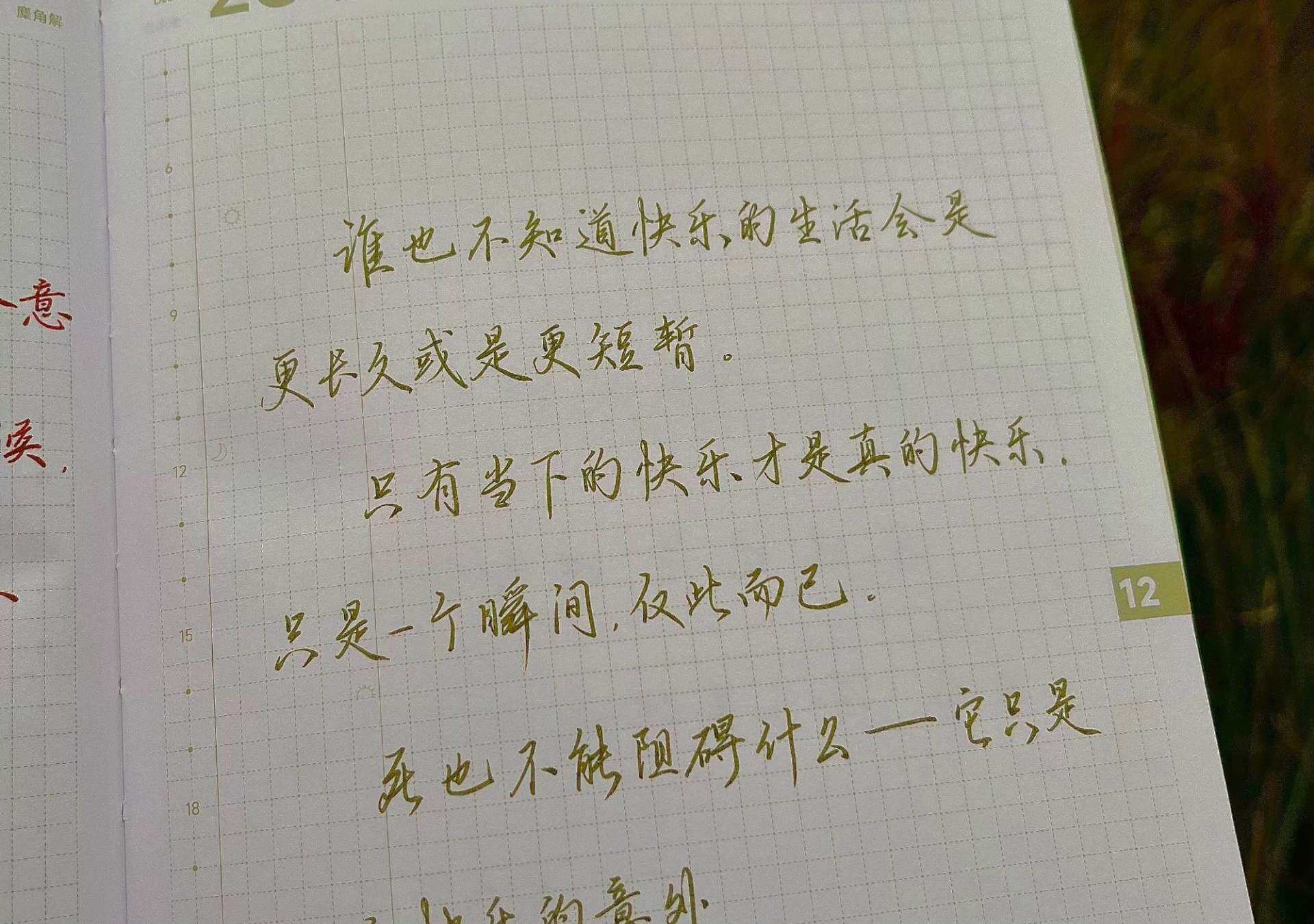 自在手帐2025年12月28日