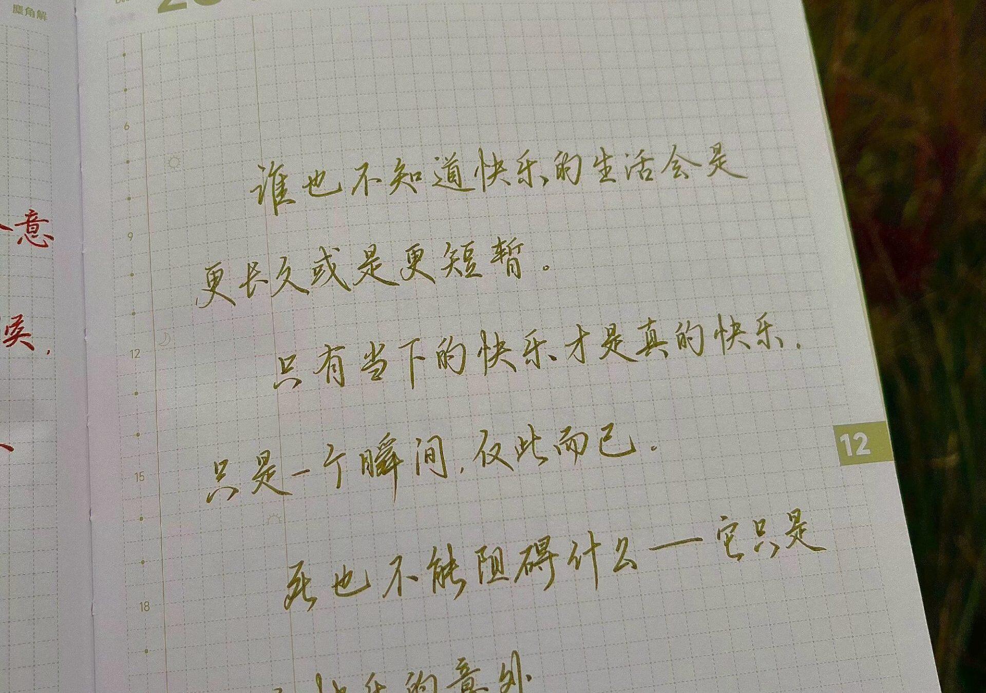 自在手帐2025年12月28日