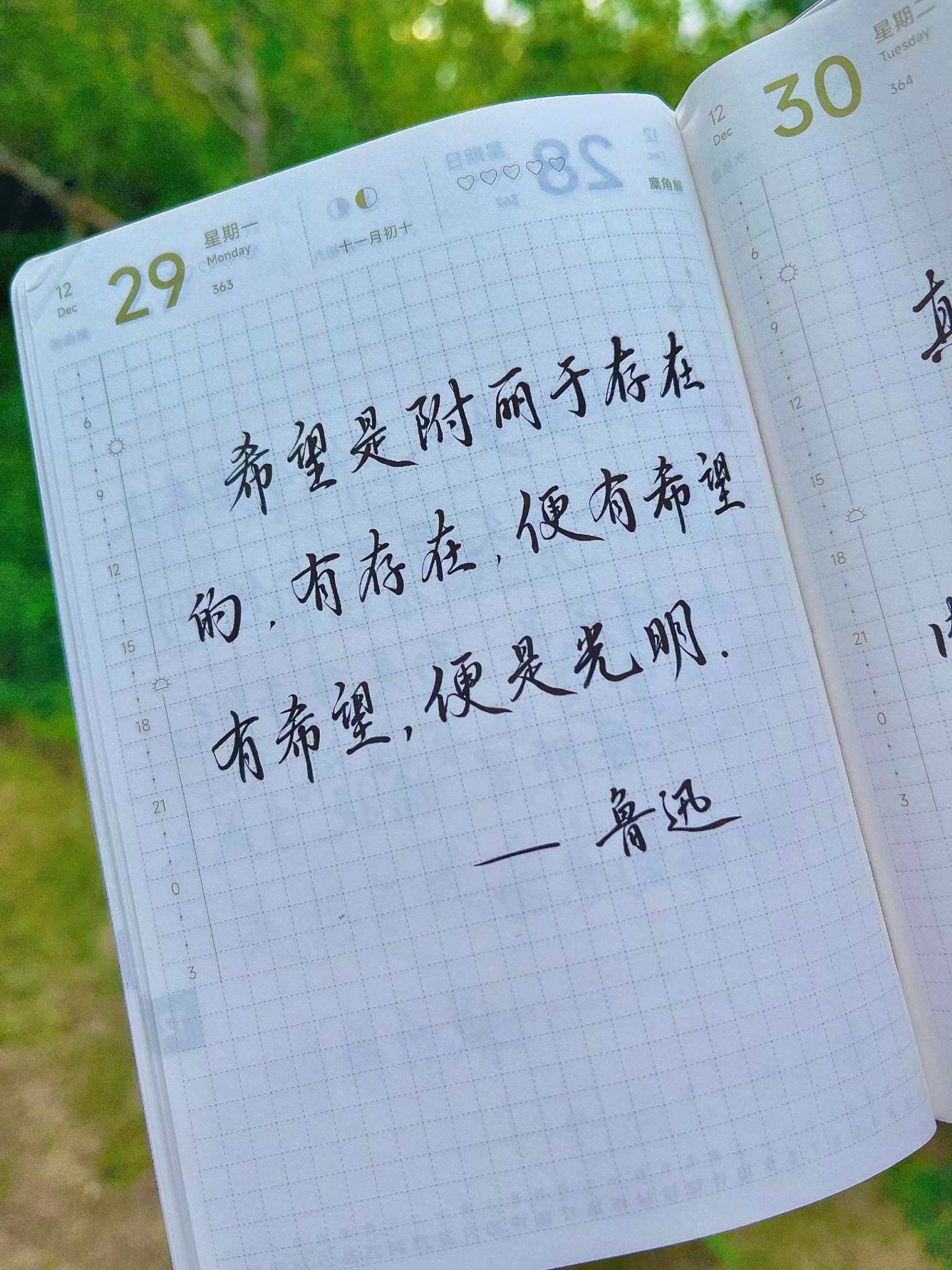 自在手帐2025年12月29日
