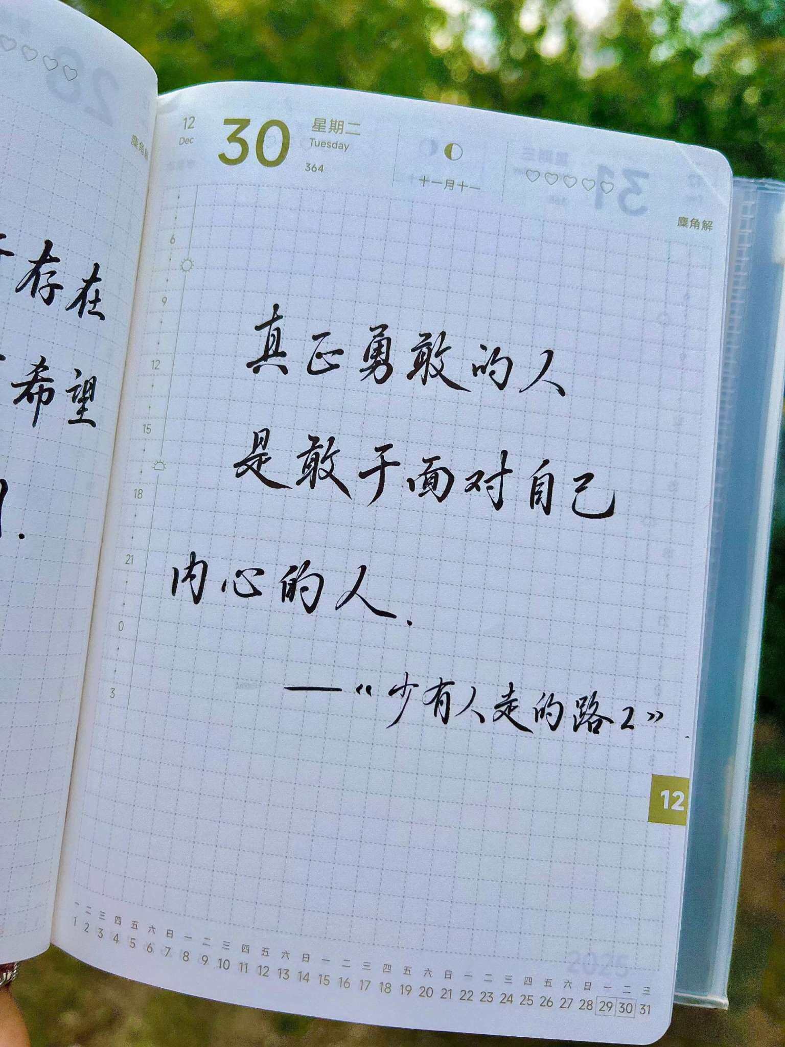 自在手帐2025年12月30日
