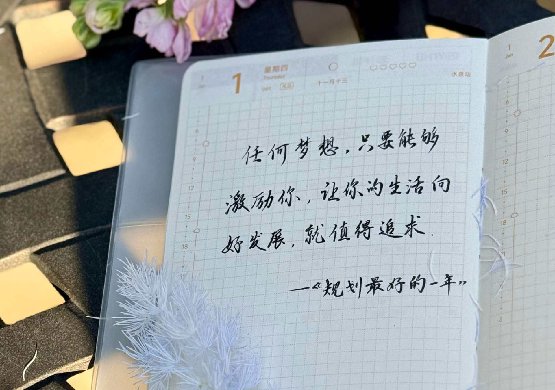 追求梦想