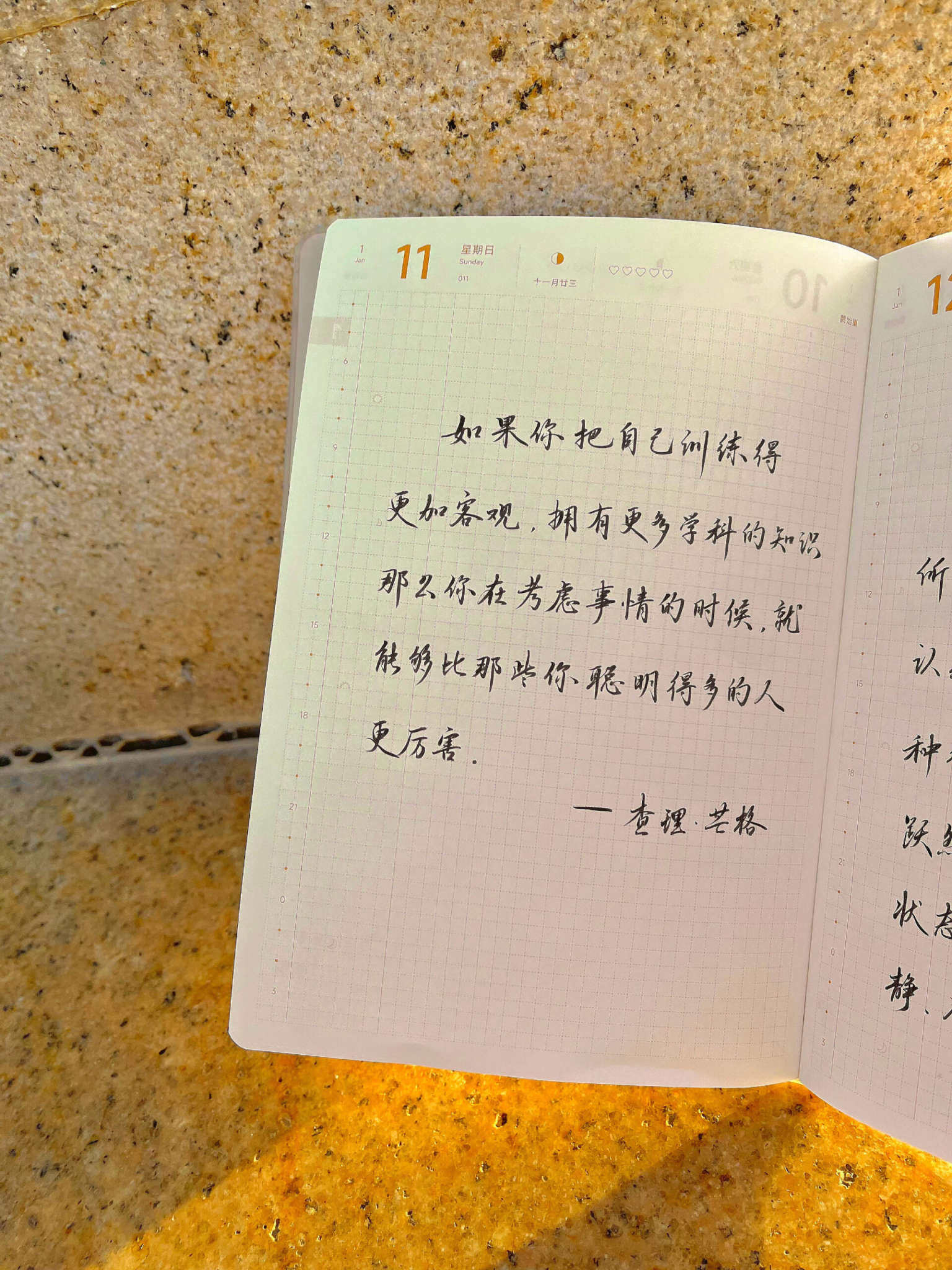 自在手帐2026年1月11日
