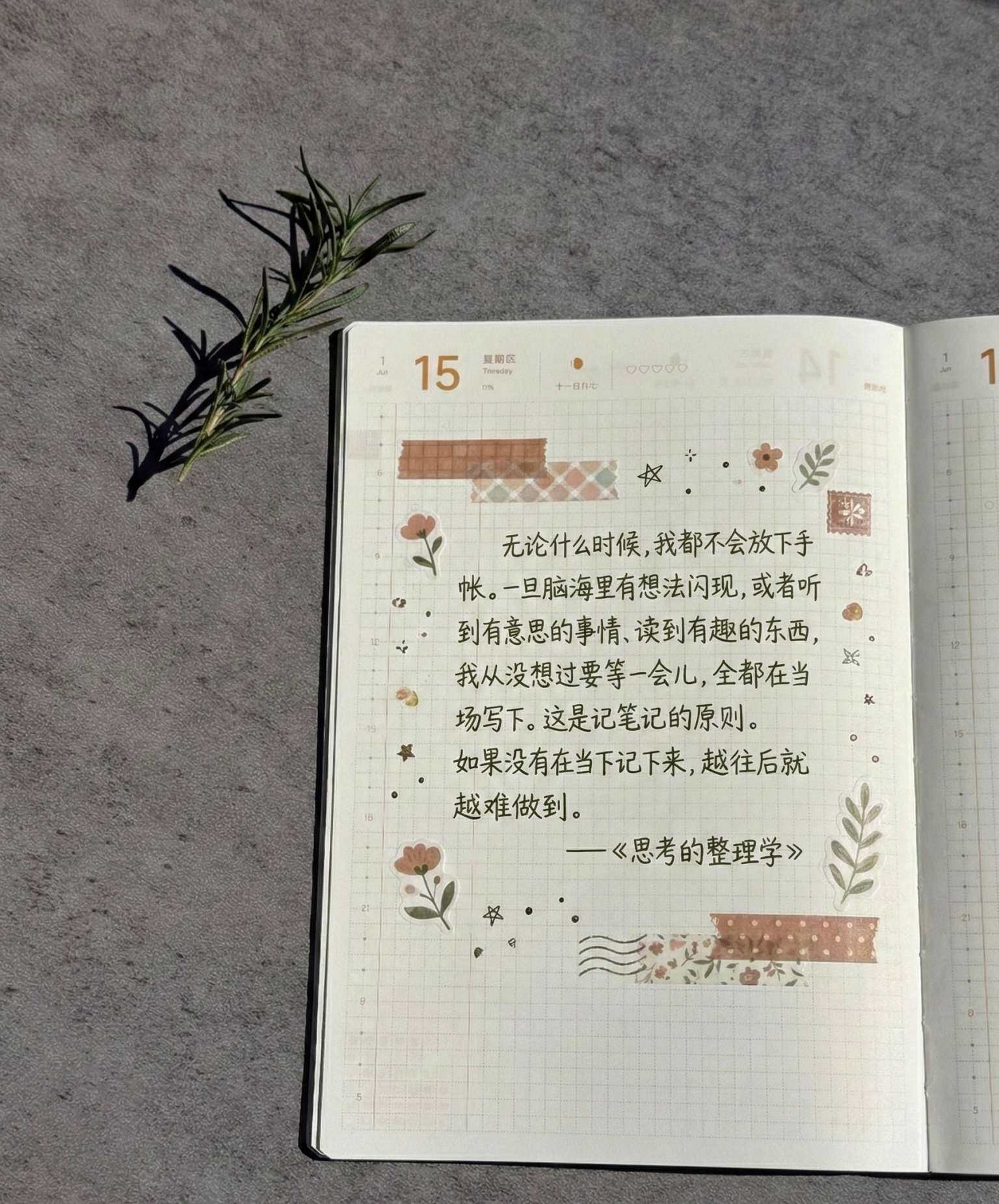 自在手帐2026年1月15日