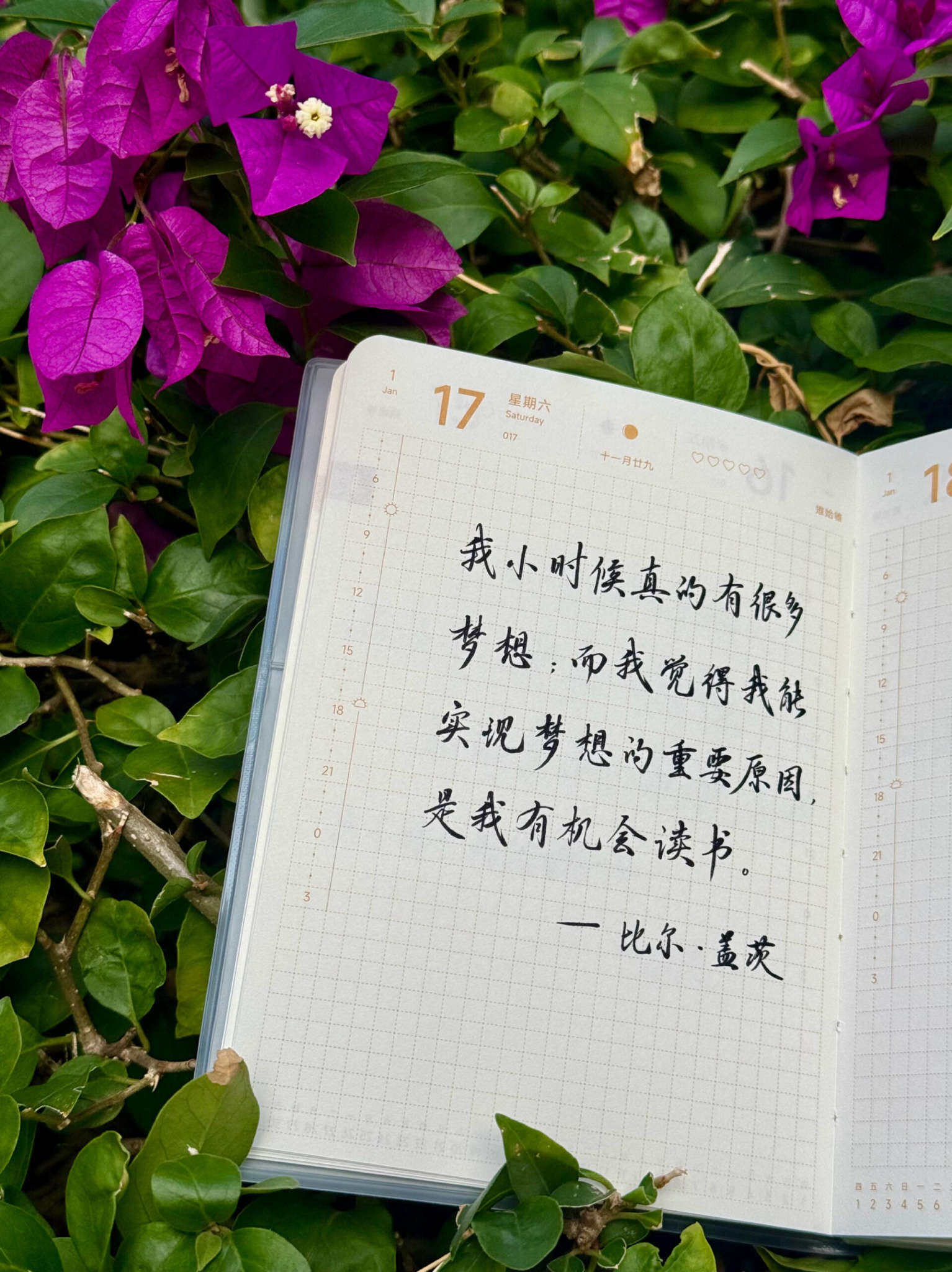 自在手帐2026年1月17日