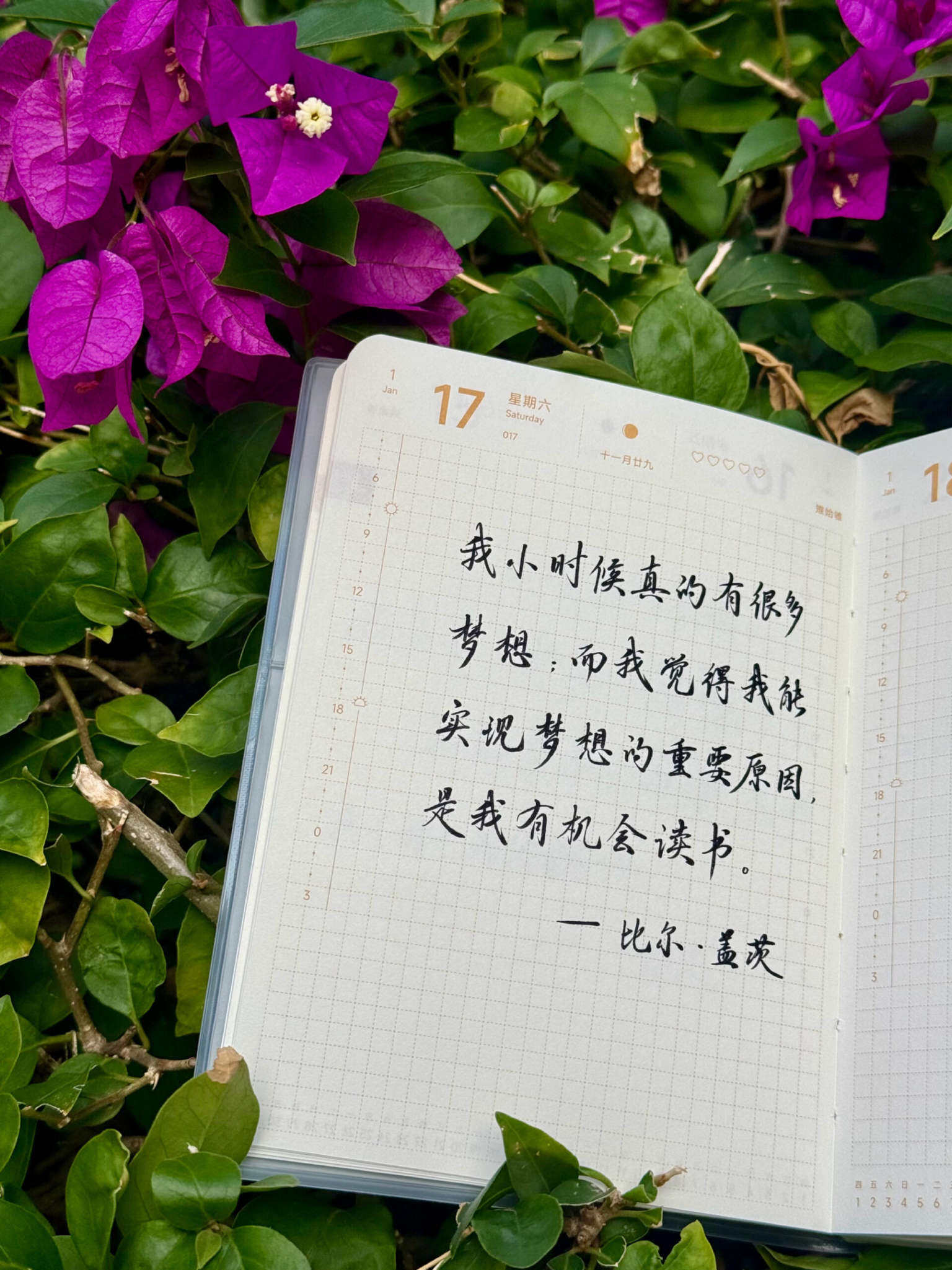 自在手帐2026年1月17日