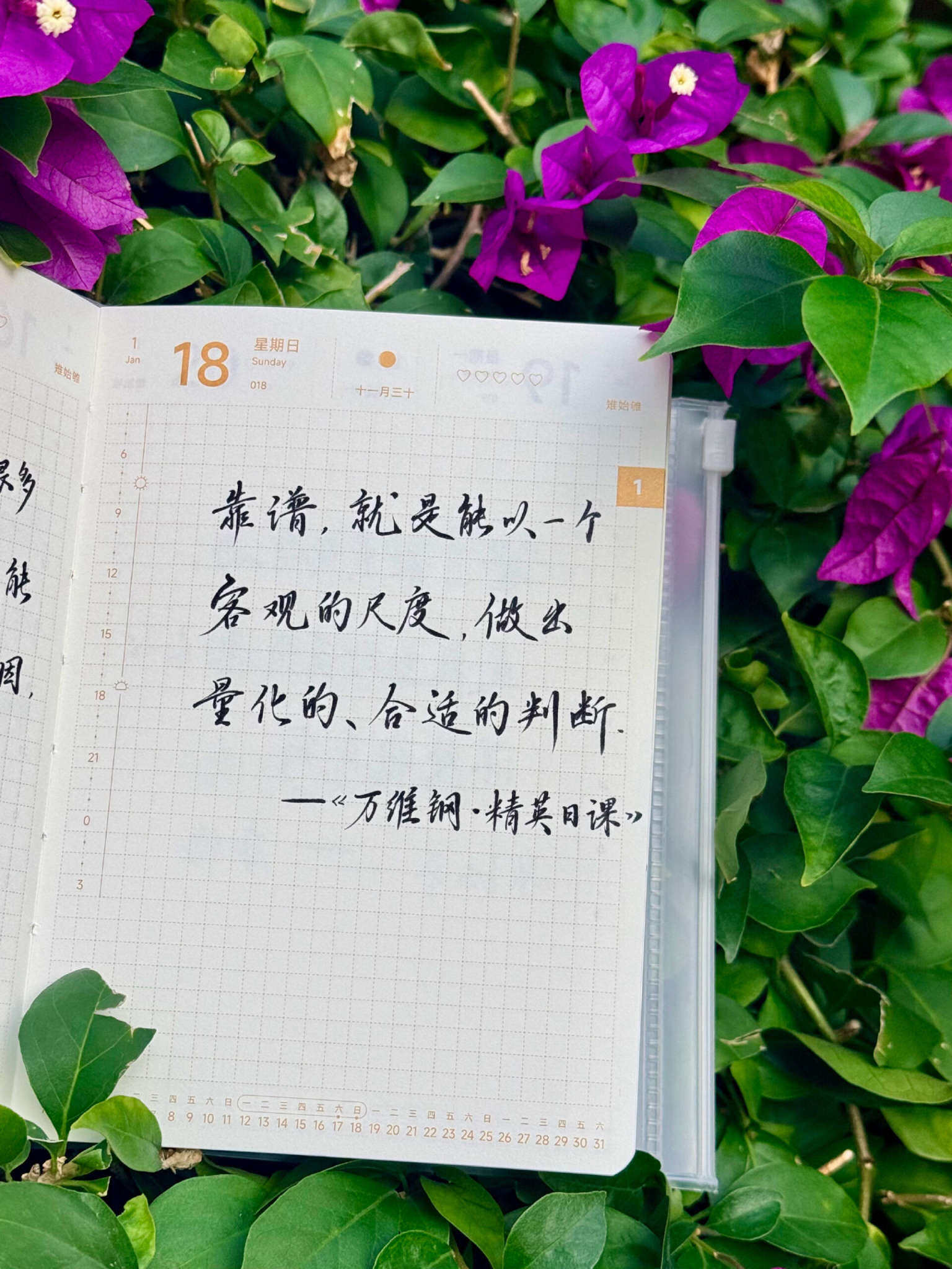 自在手帐2026年1月18日