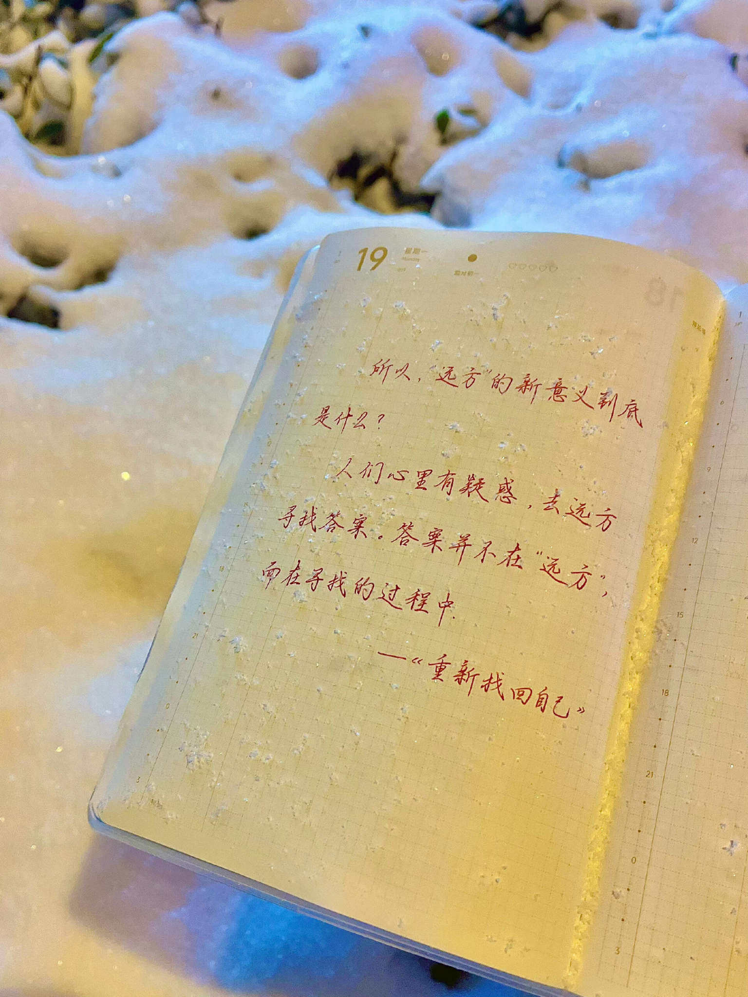 自在手帐2026年1月19日