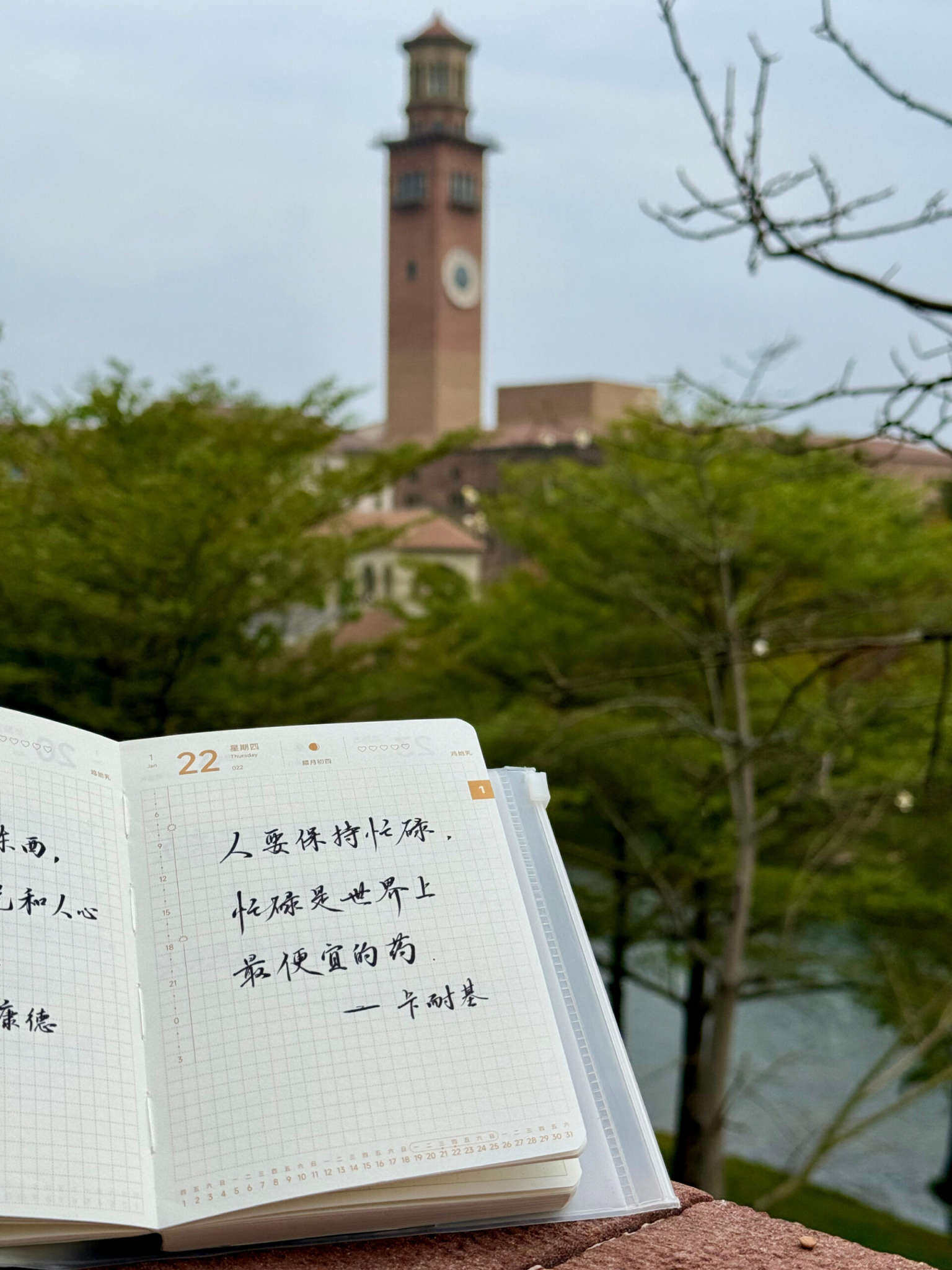 自在手帐2026年1月22日