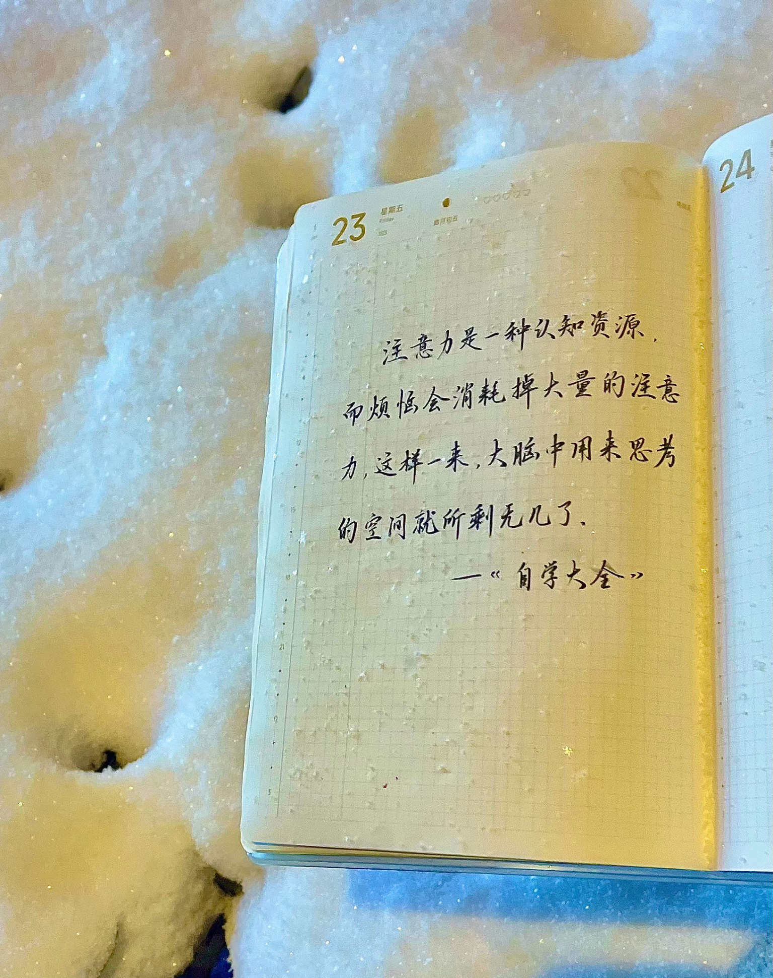 自在手帐2026年1月23日