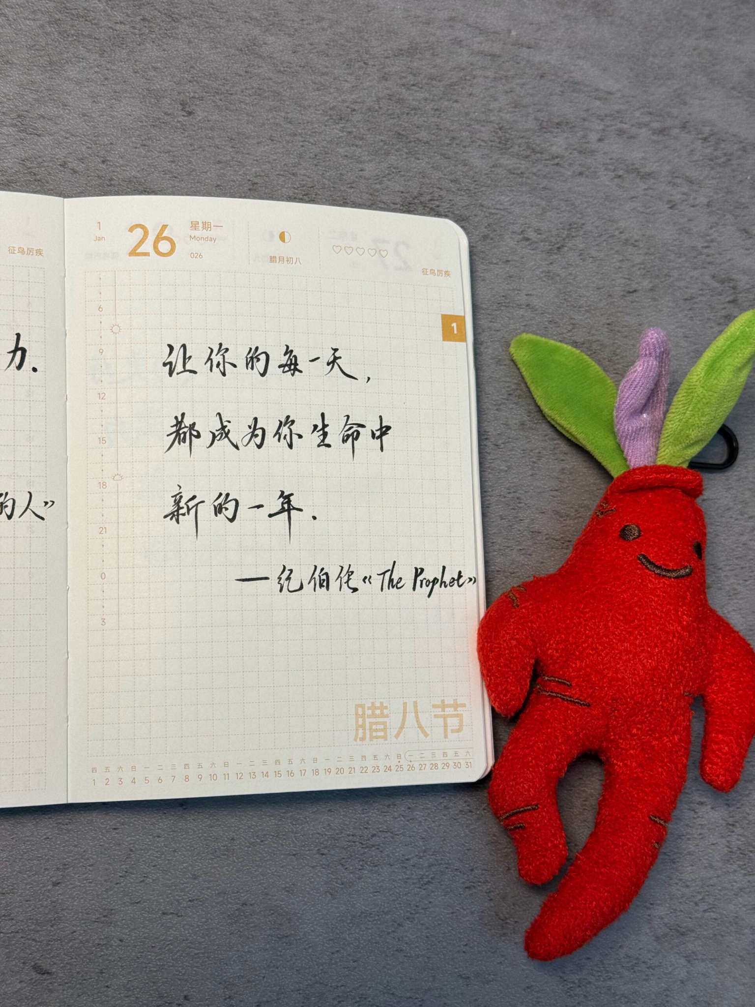 自在手帐2026年1月26日