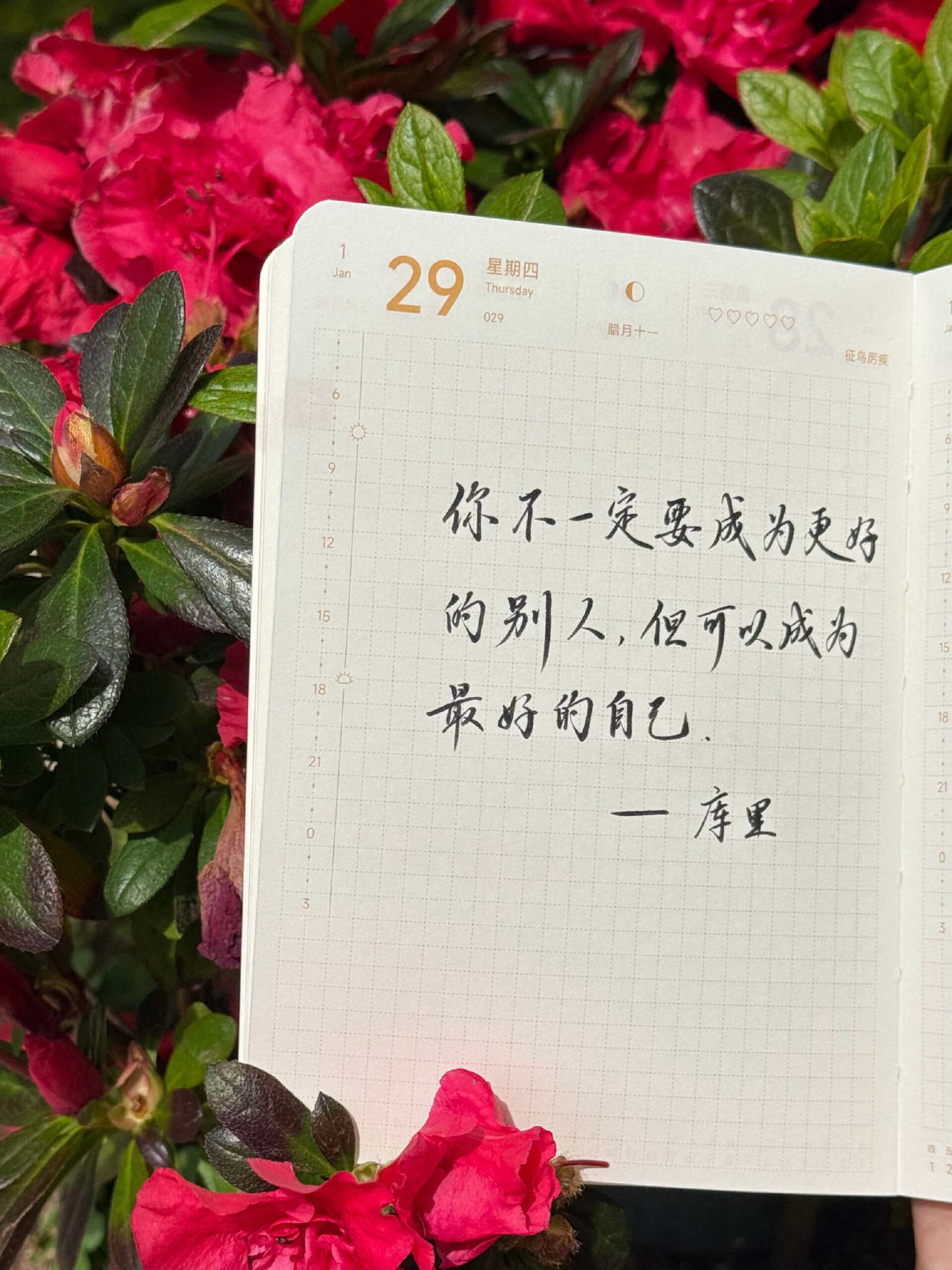 自在手帐2026年1月29日
