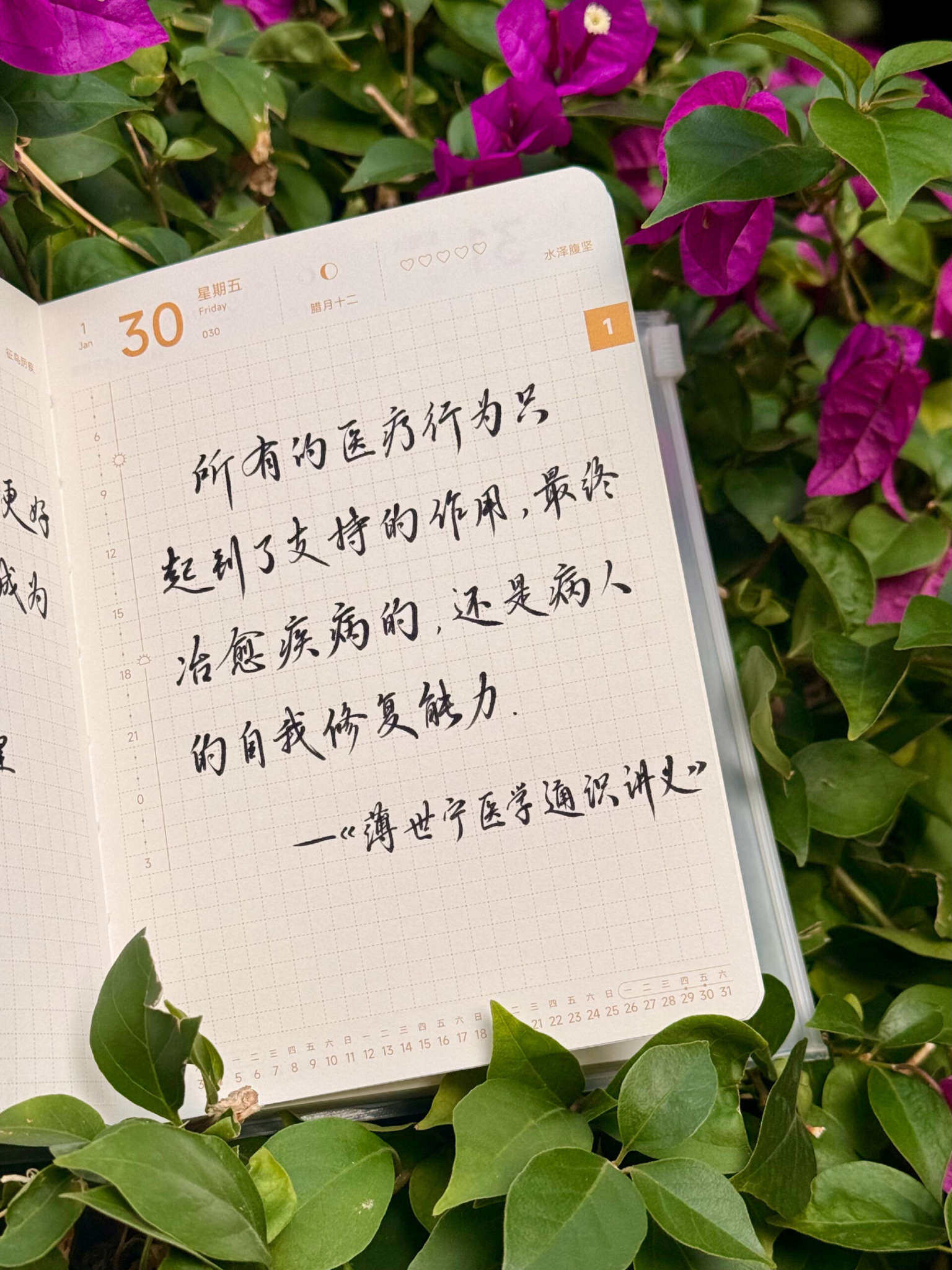 自在手帐2026年1月30日