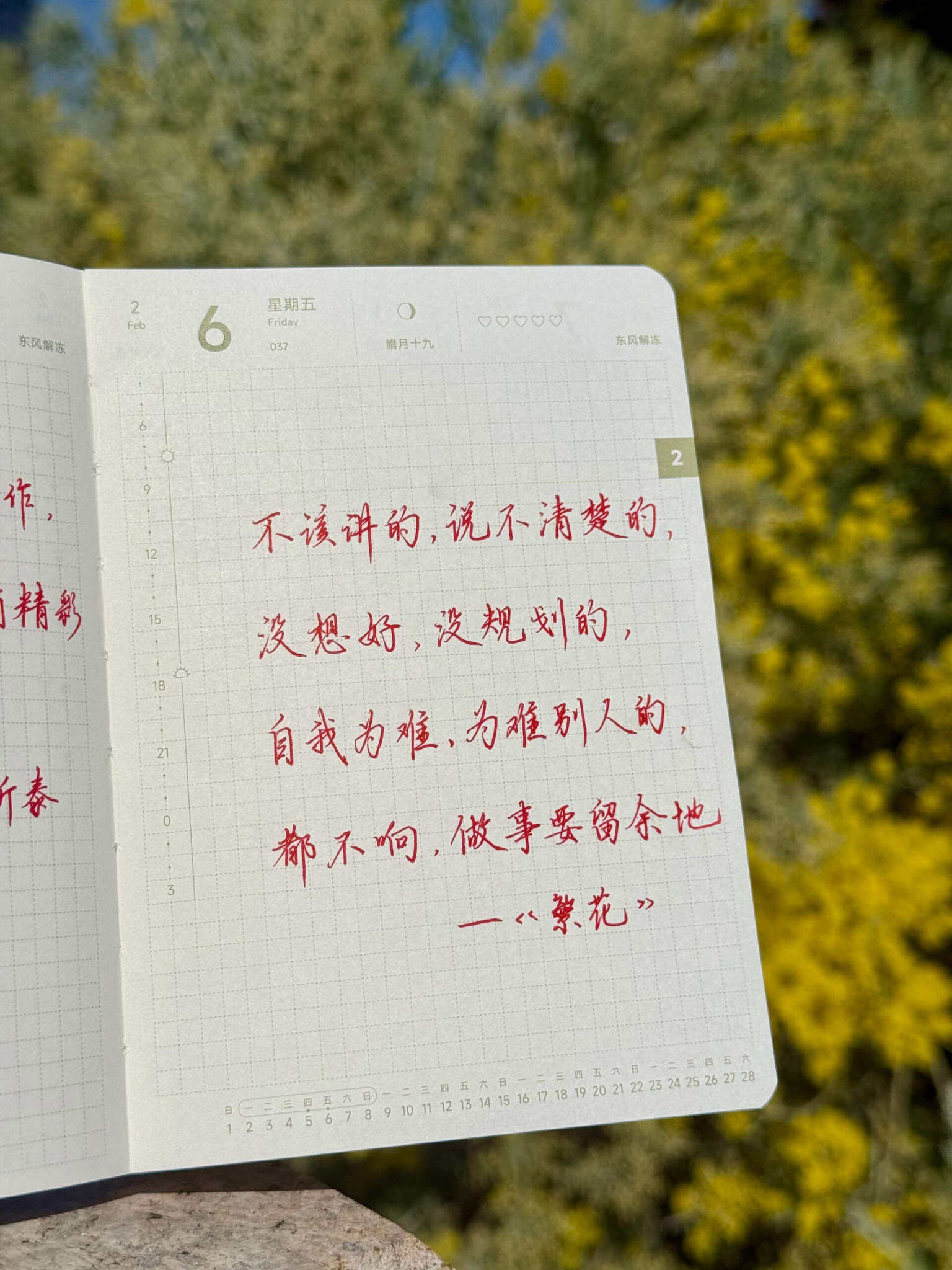 自在手帐2026年2月6日