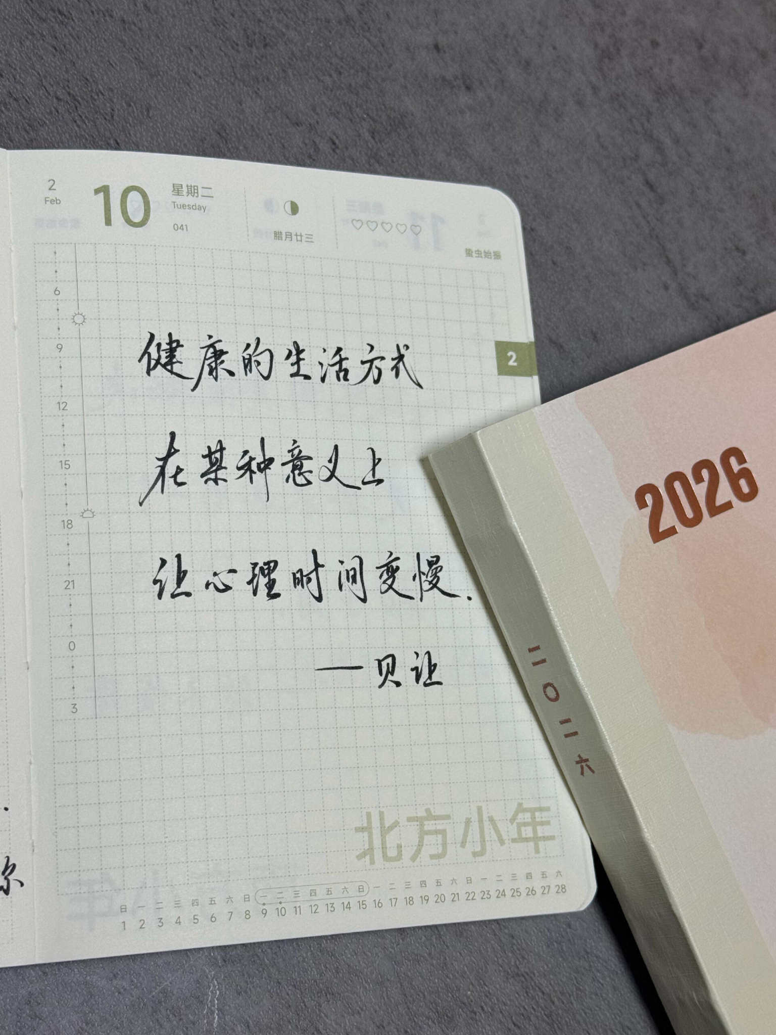 自在手帐2026年2月10日