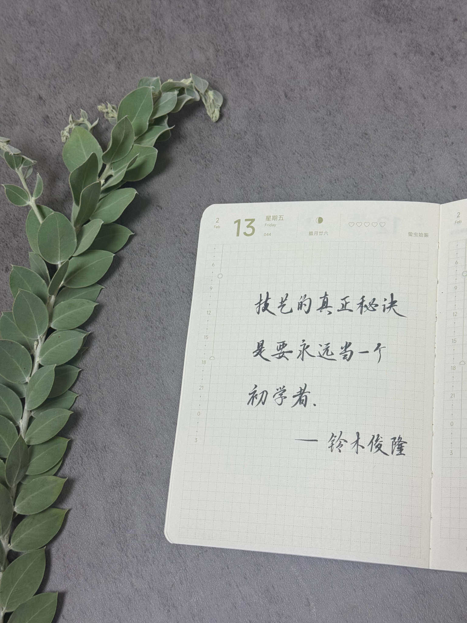 自在手帐2026年2月13日
