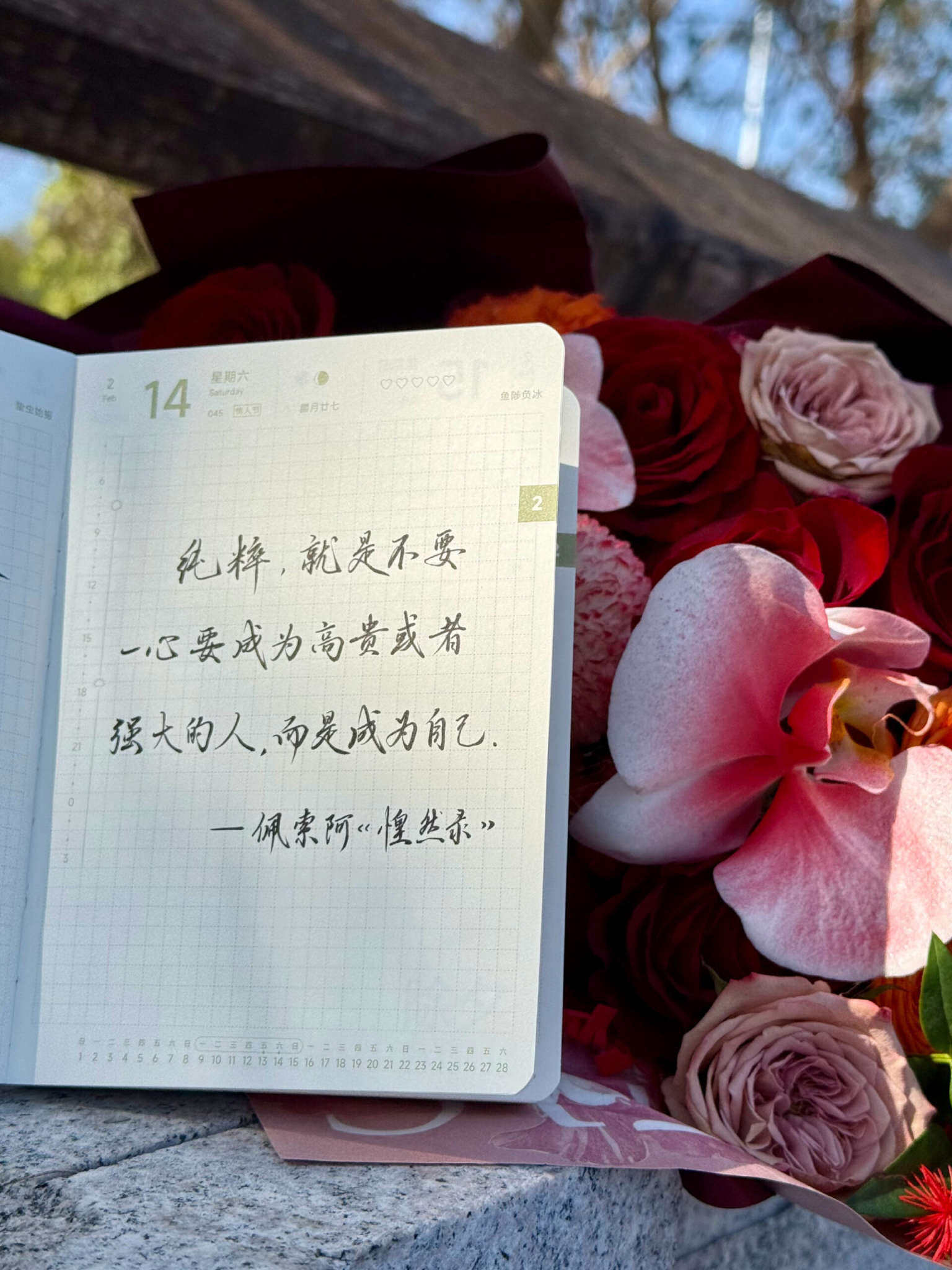 自在手帐2026年2月14日