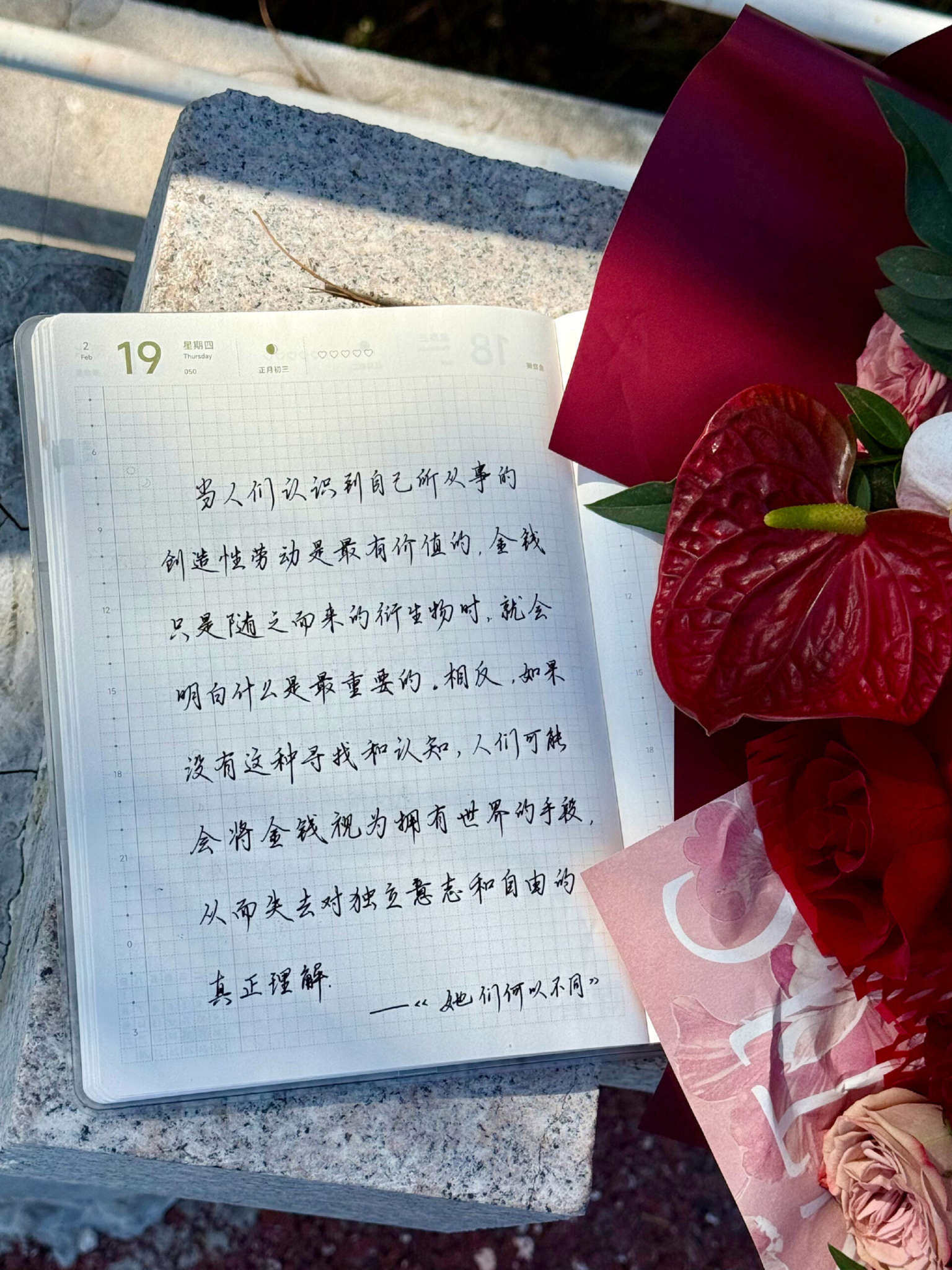 自在手帐2026年2月19日
