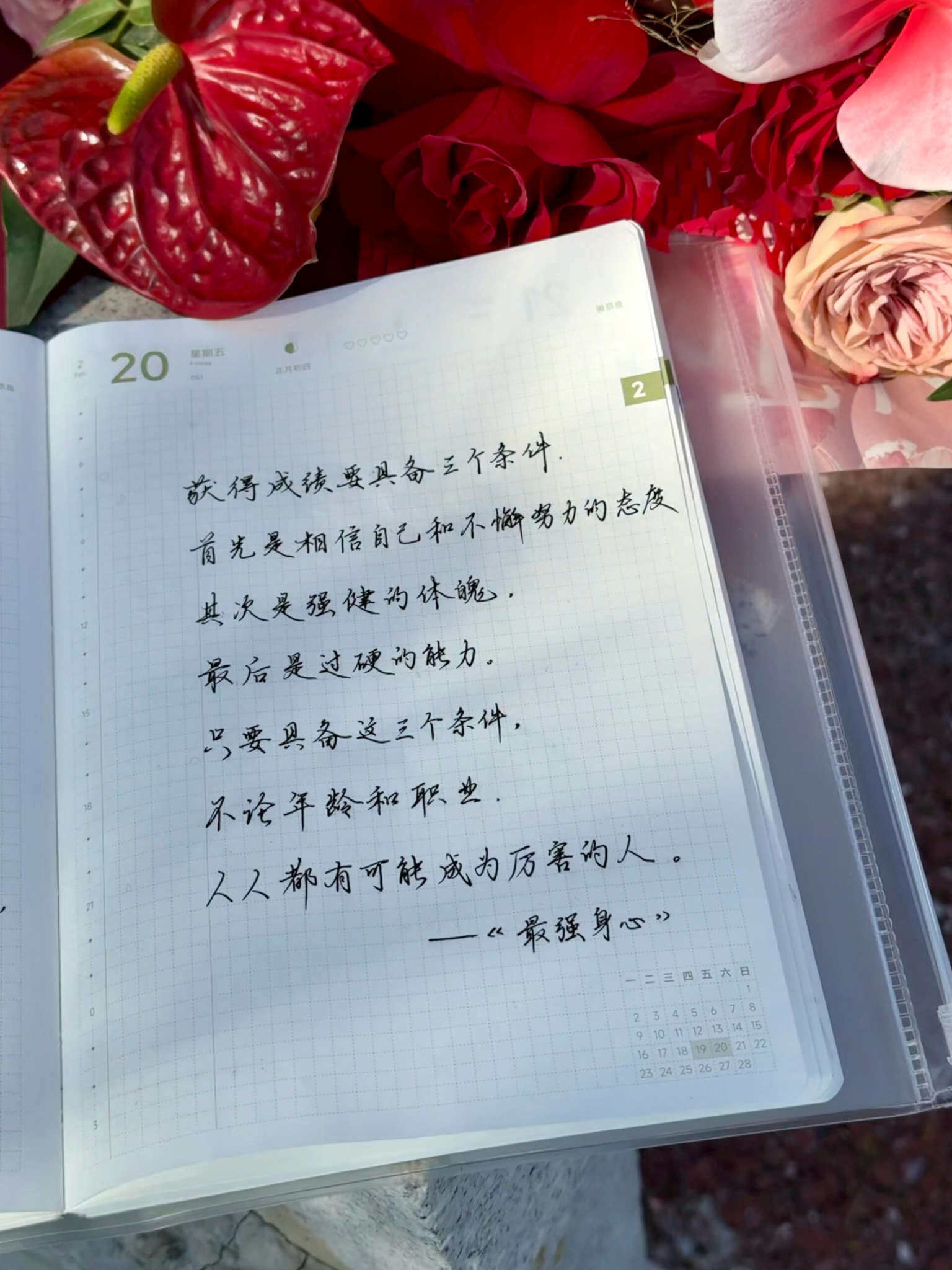 自在手帐2026年2月20日