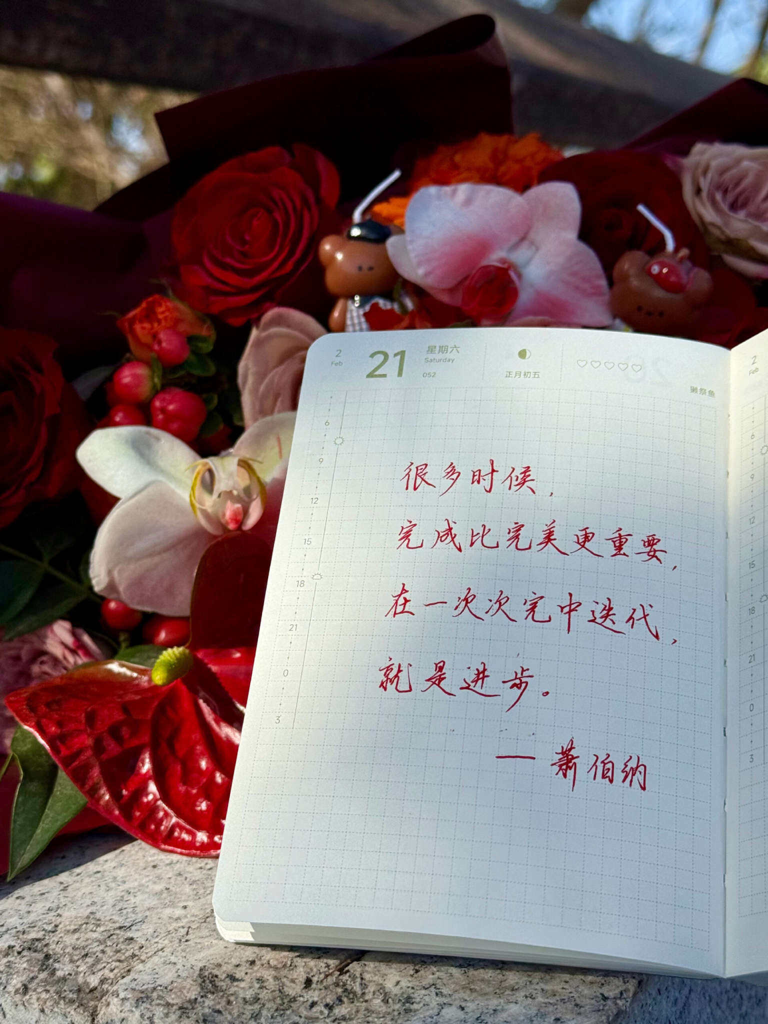 自在手帐2026年2月21日