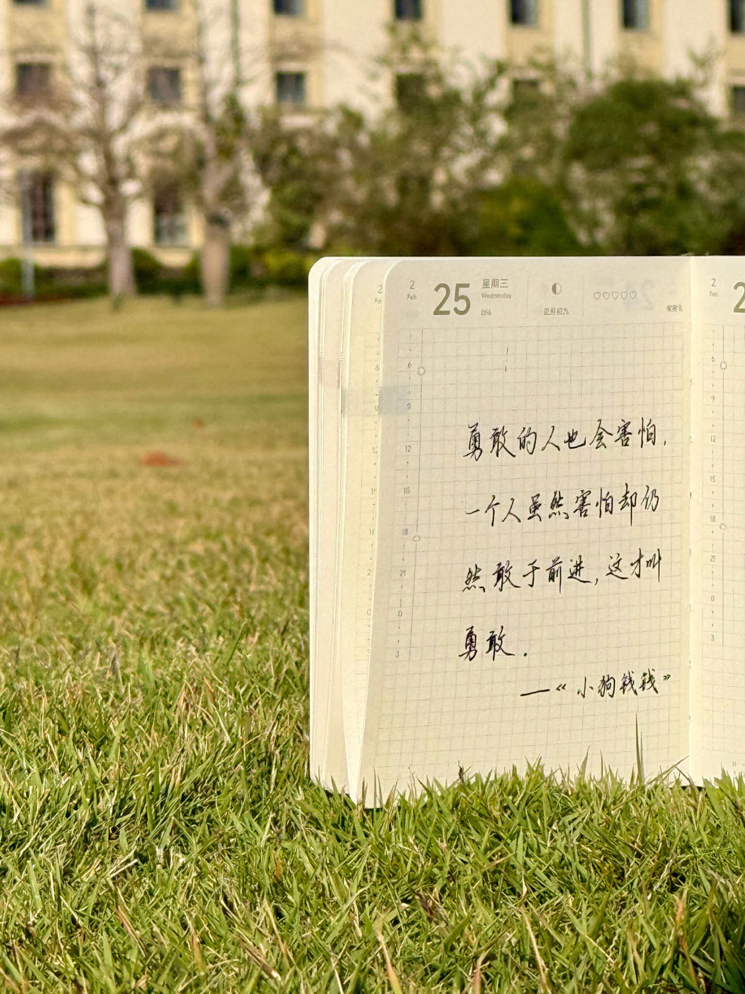 自在手帐2026年2月25日