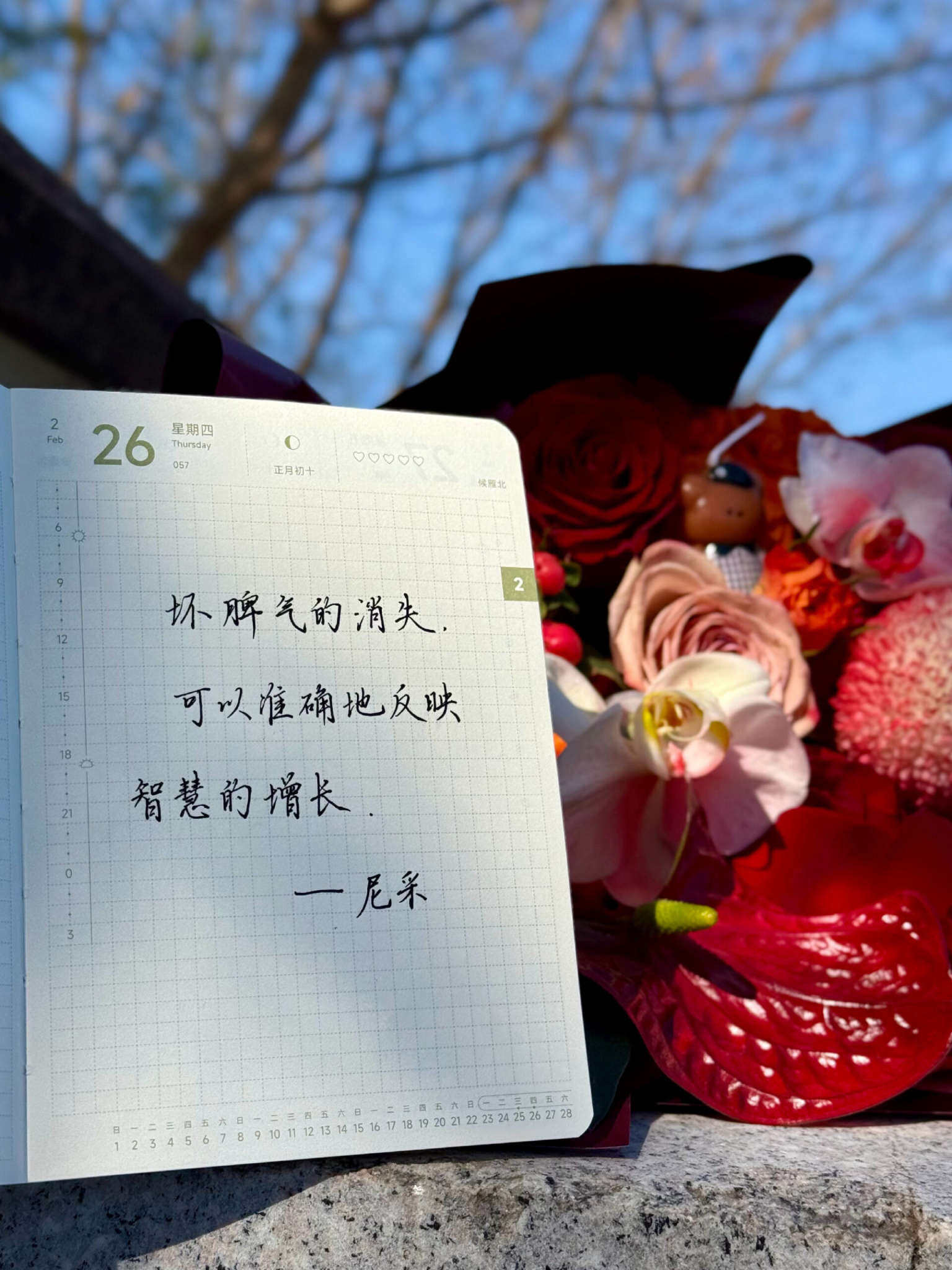 自在手帐2026年2月26日