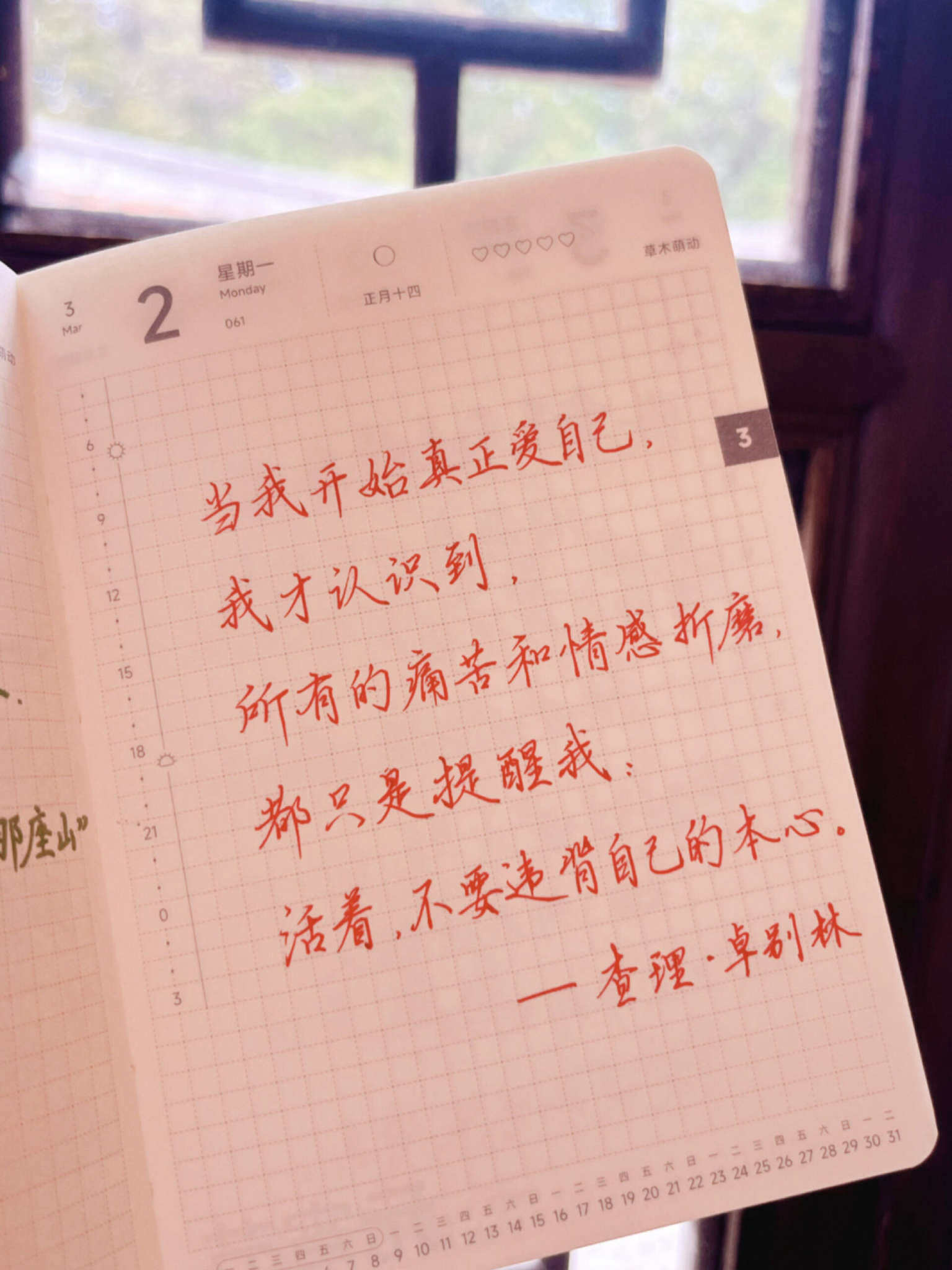 自在手帐2026年3月2日